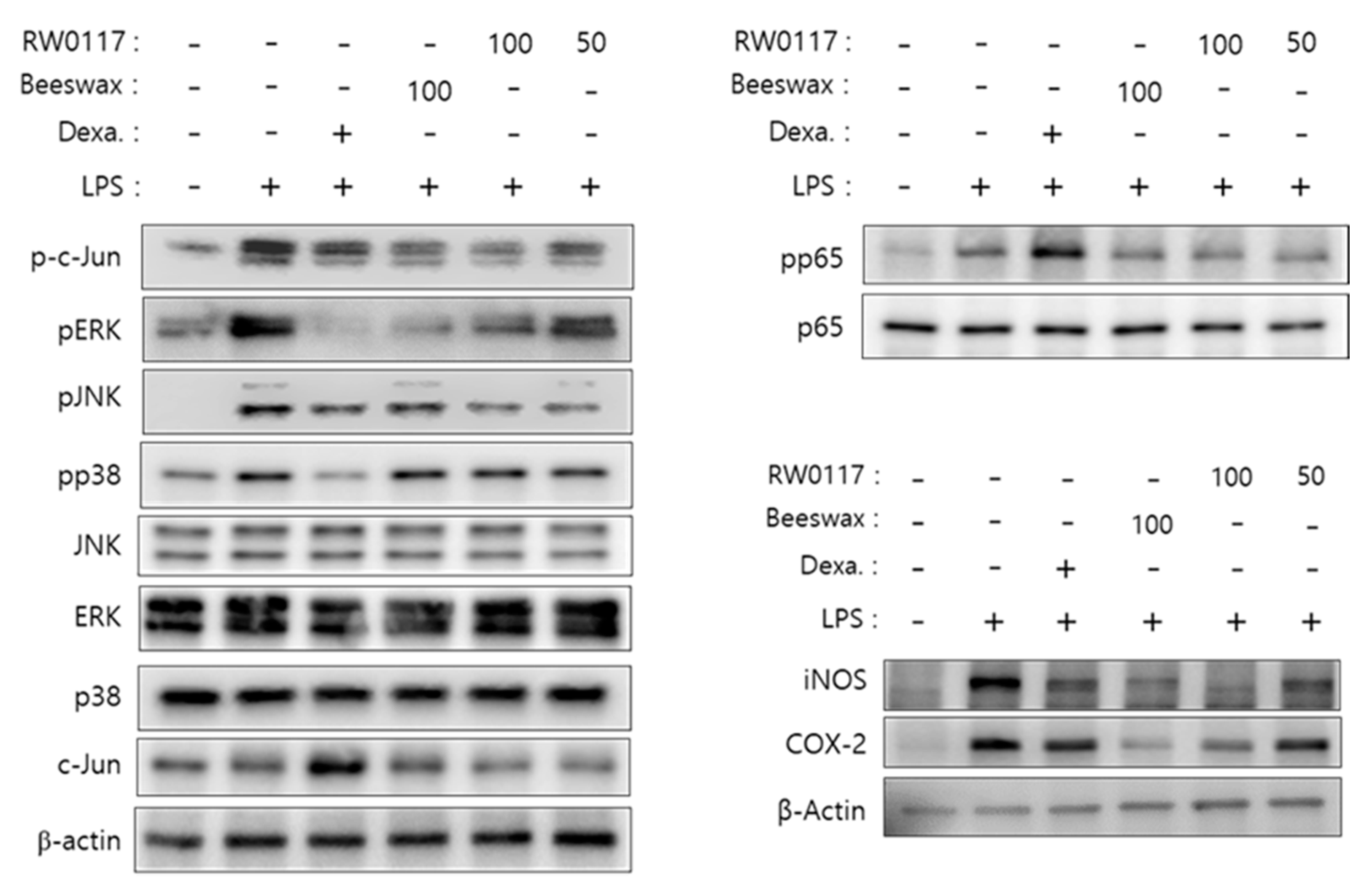 Plants 10 00332 g005