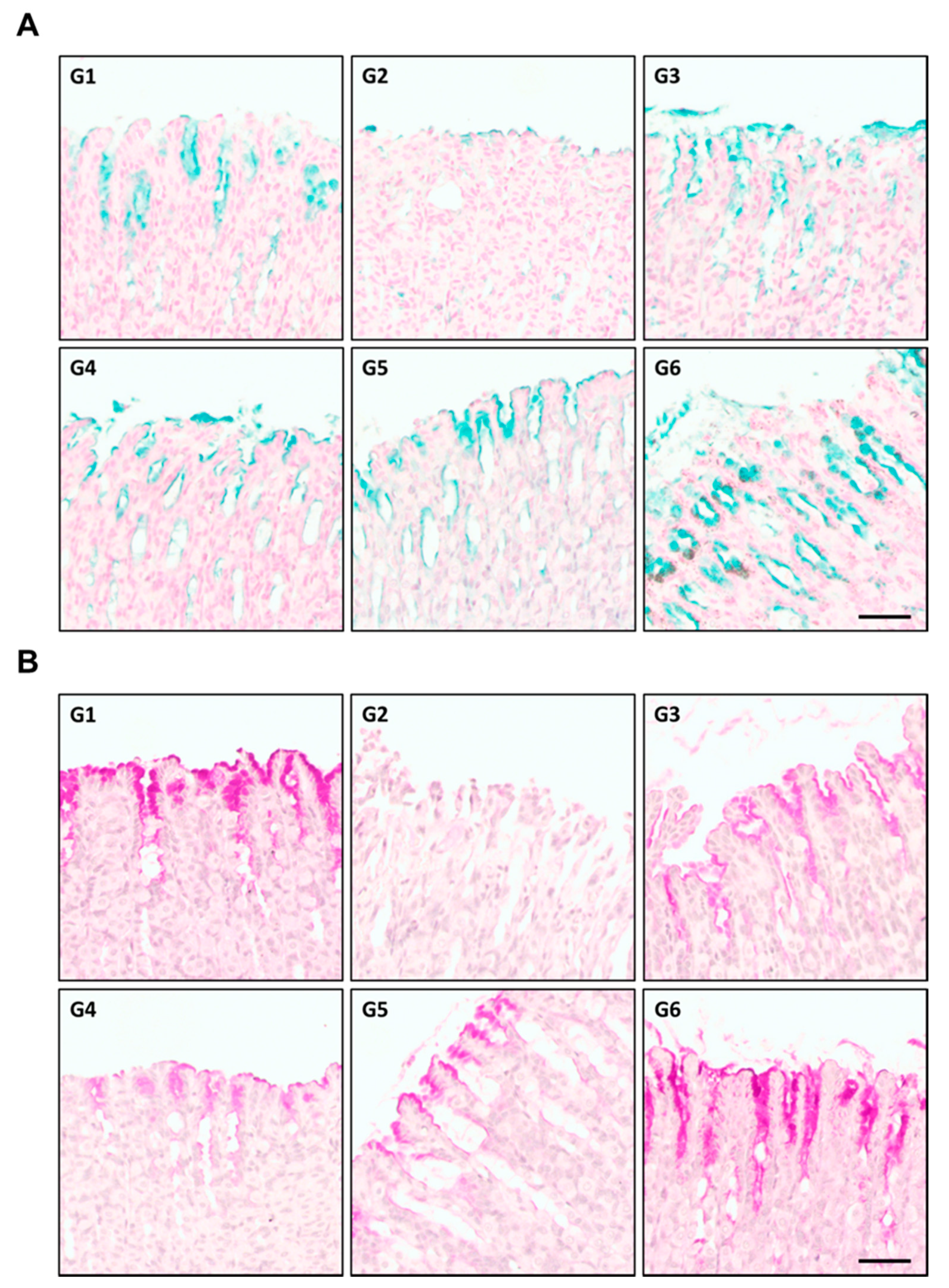 Plants 10 00332 g007