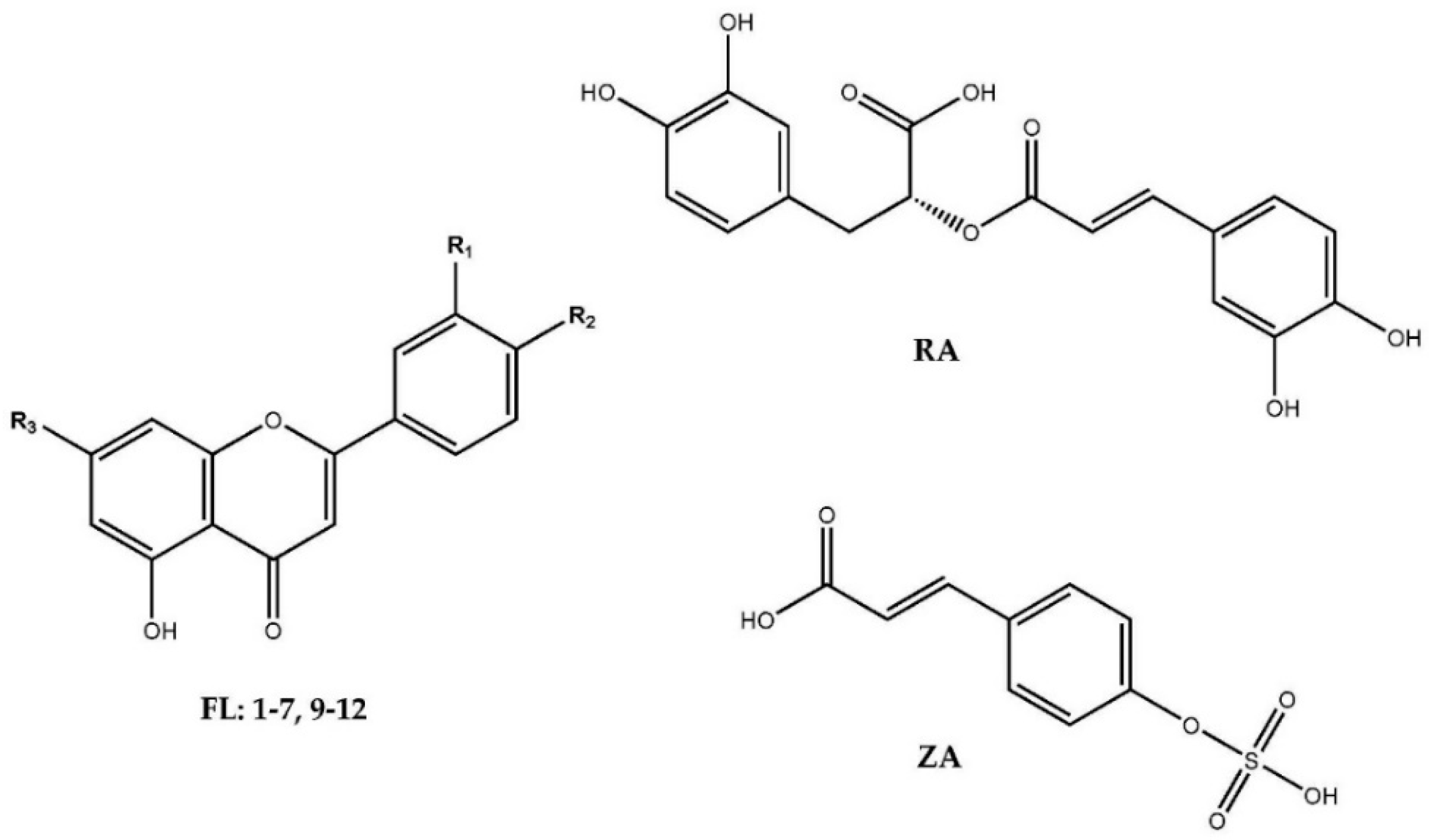 Plants 10 00334 g001