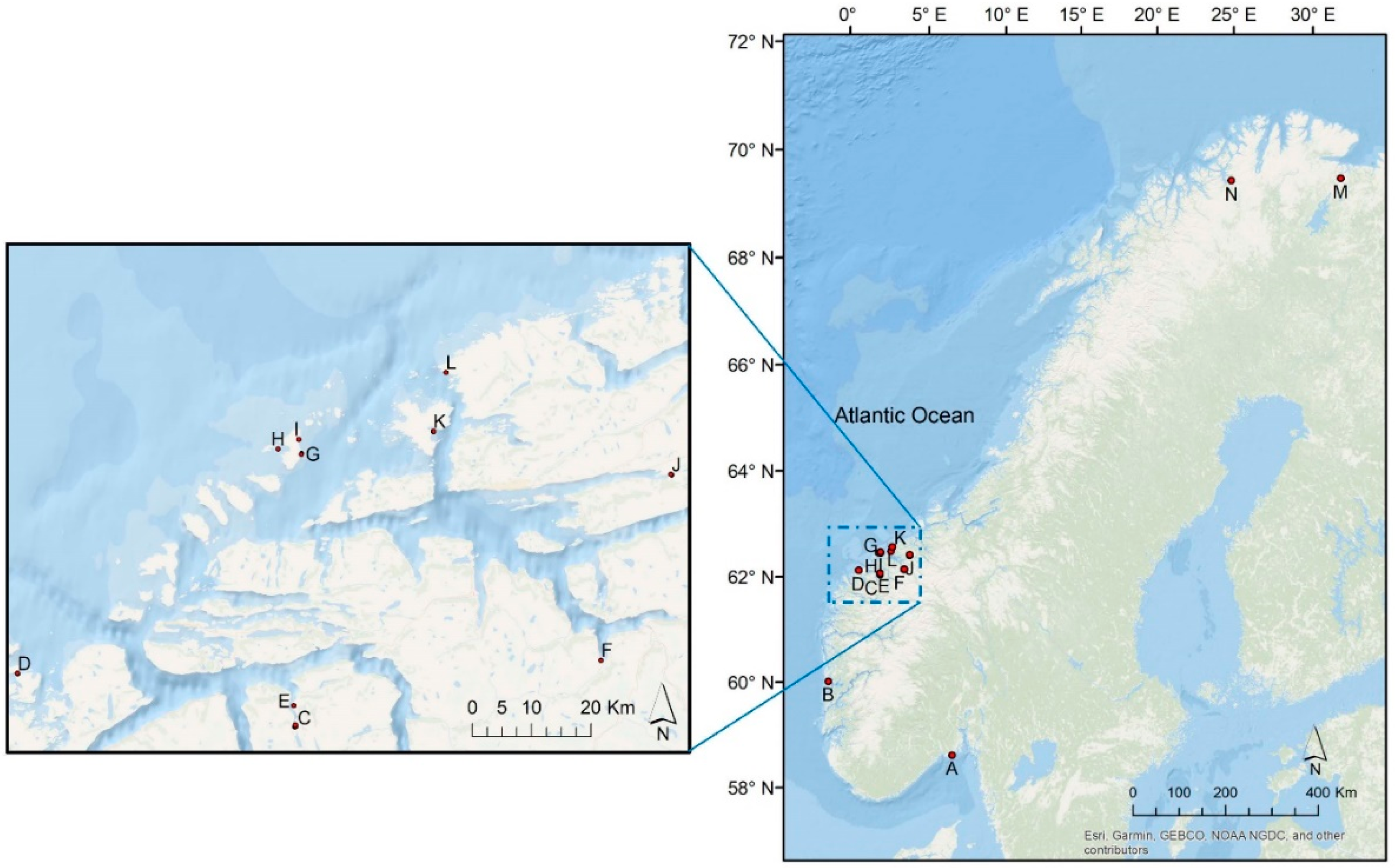 Plants 10 00334 g008