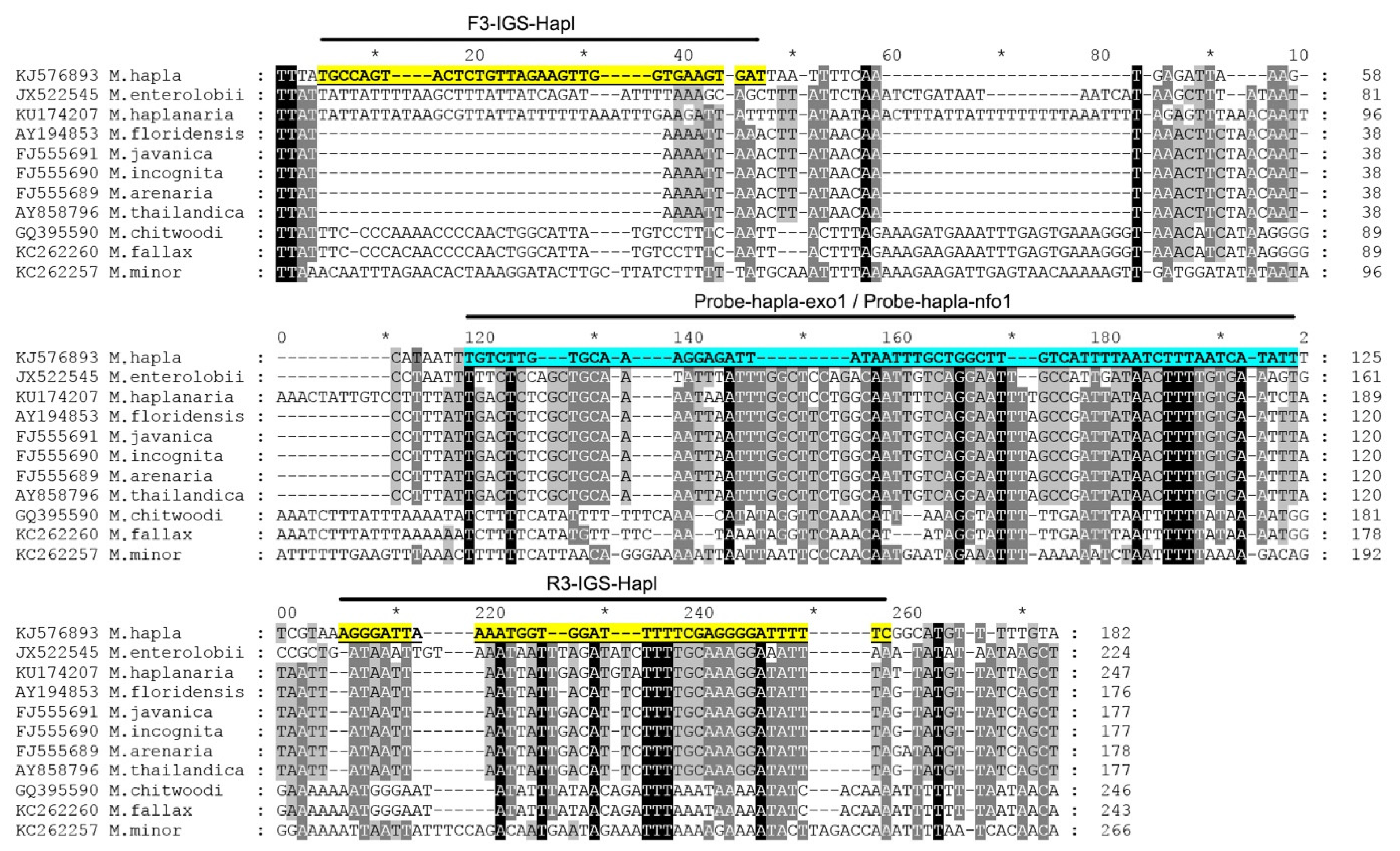 Plants 10 00336 g001