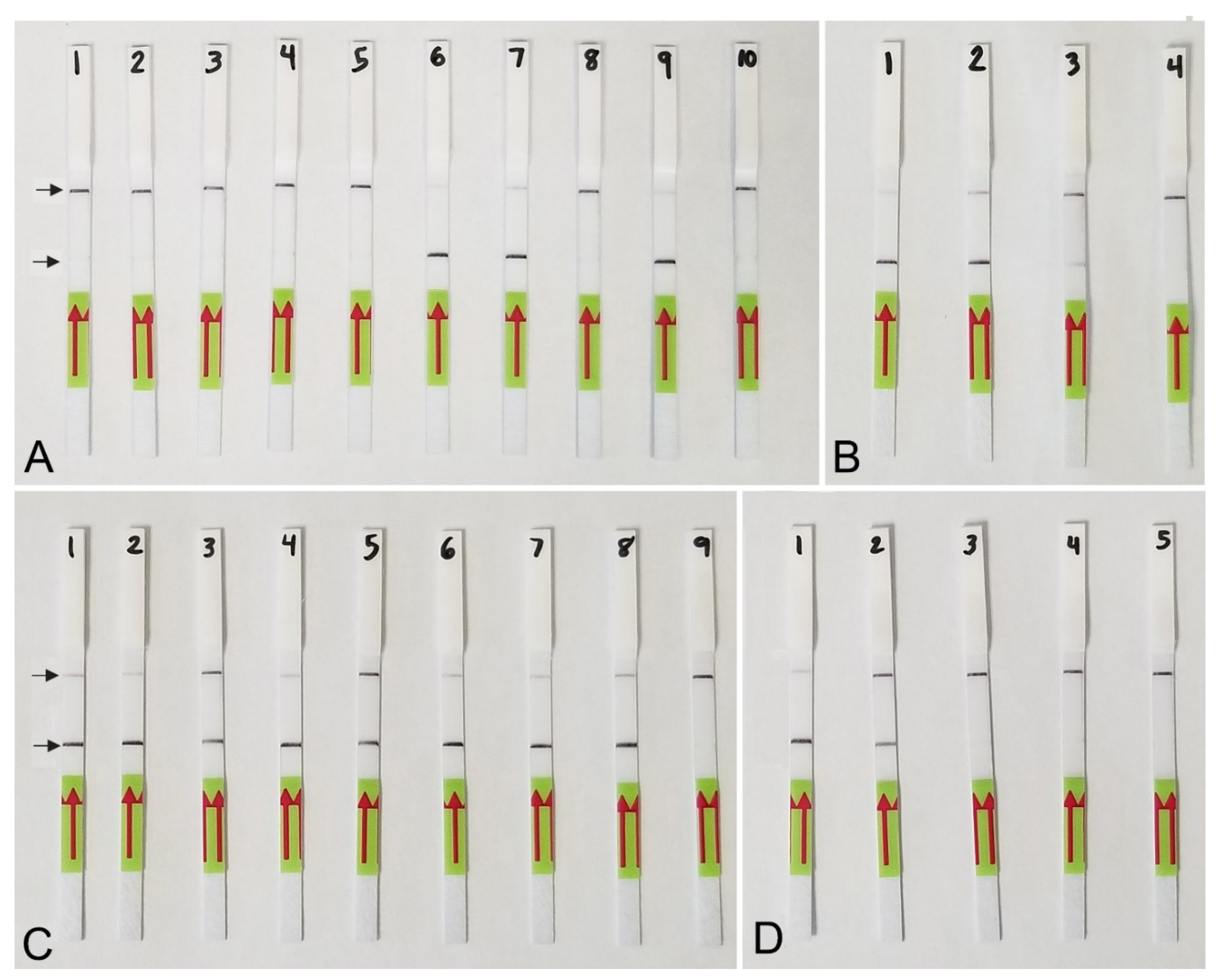 Plants 10 00336 g005