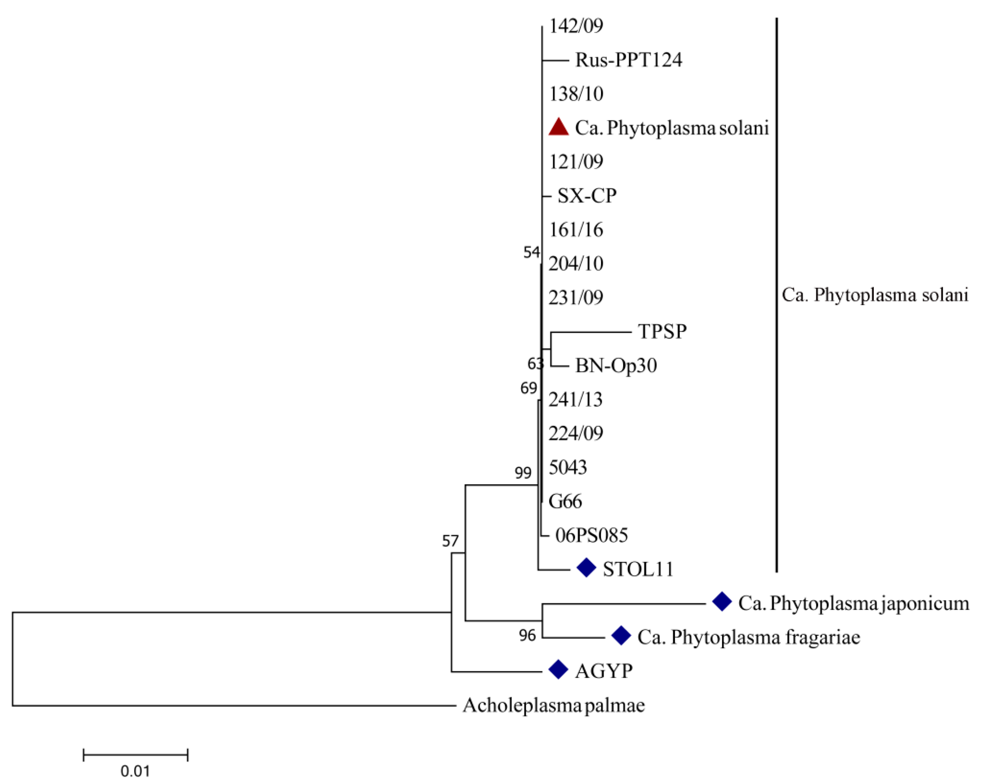 Plants 10 00337 g003