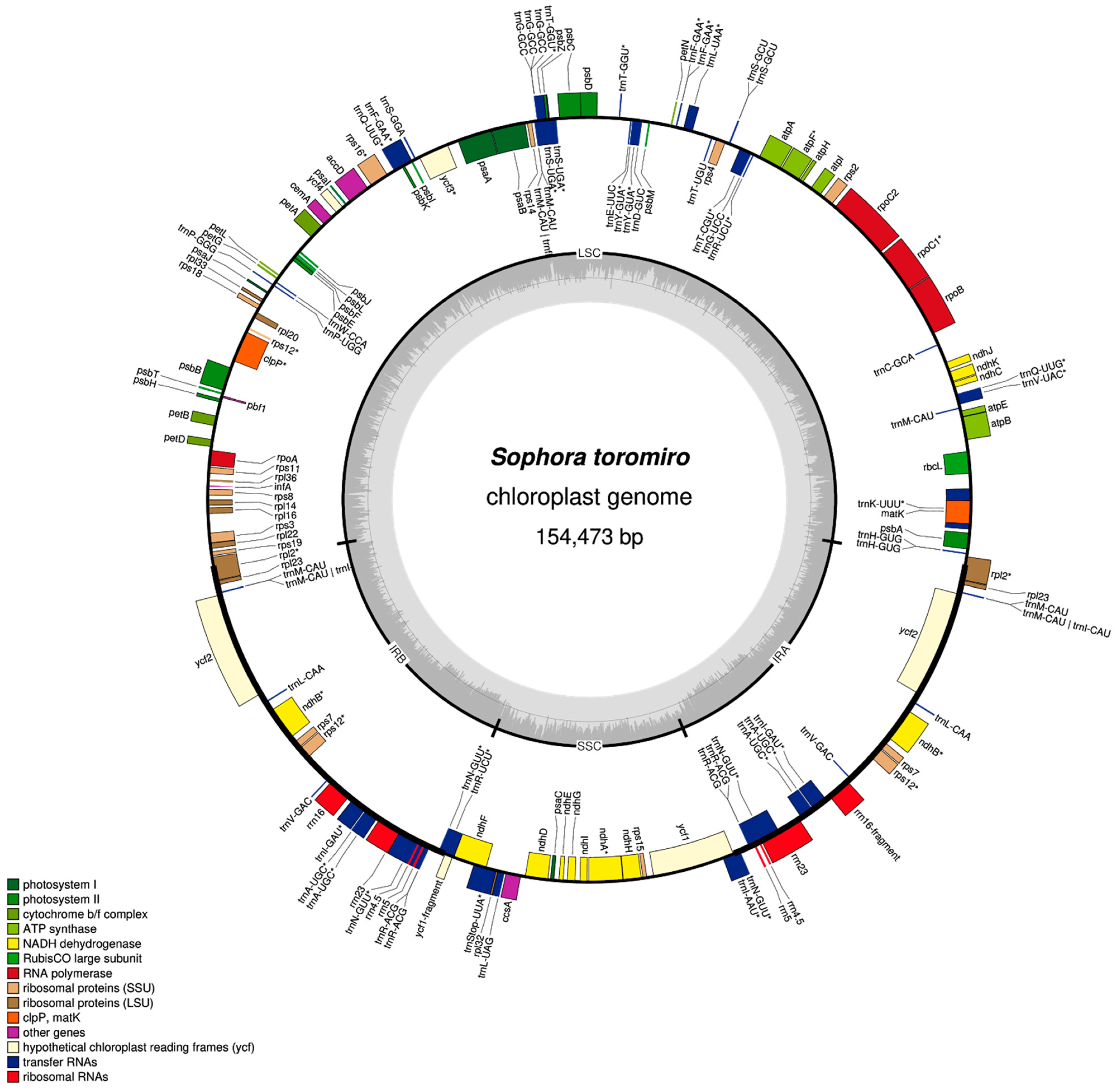 Plants 10 00342 g001
