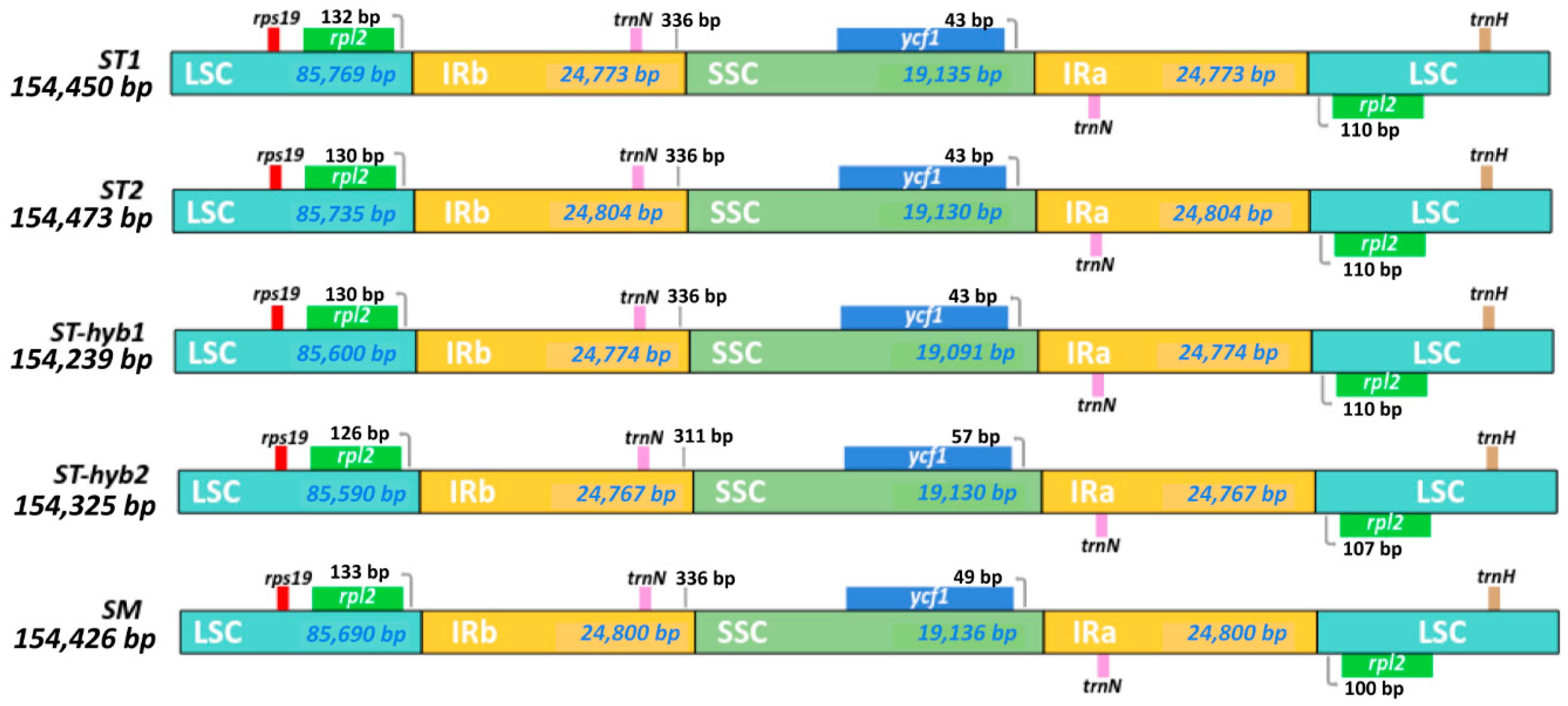 Plants 10 00342 g002