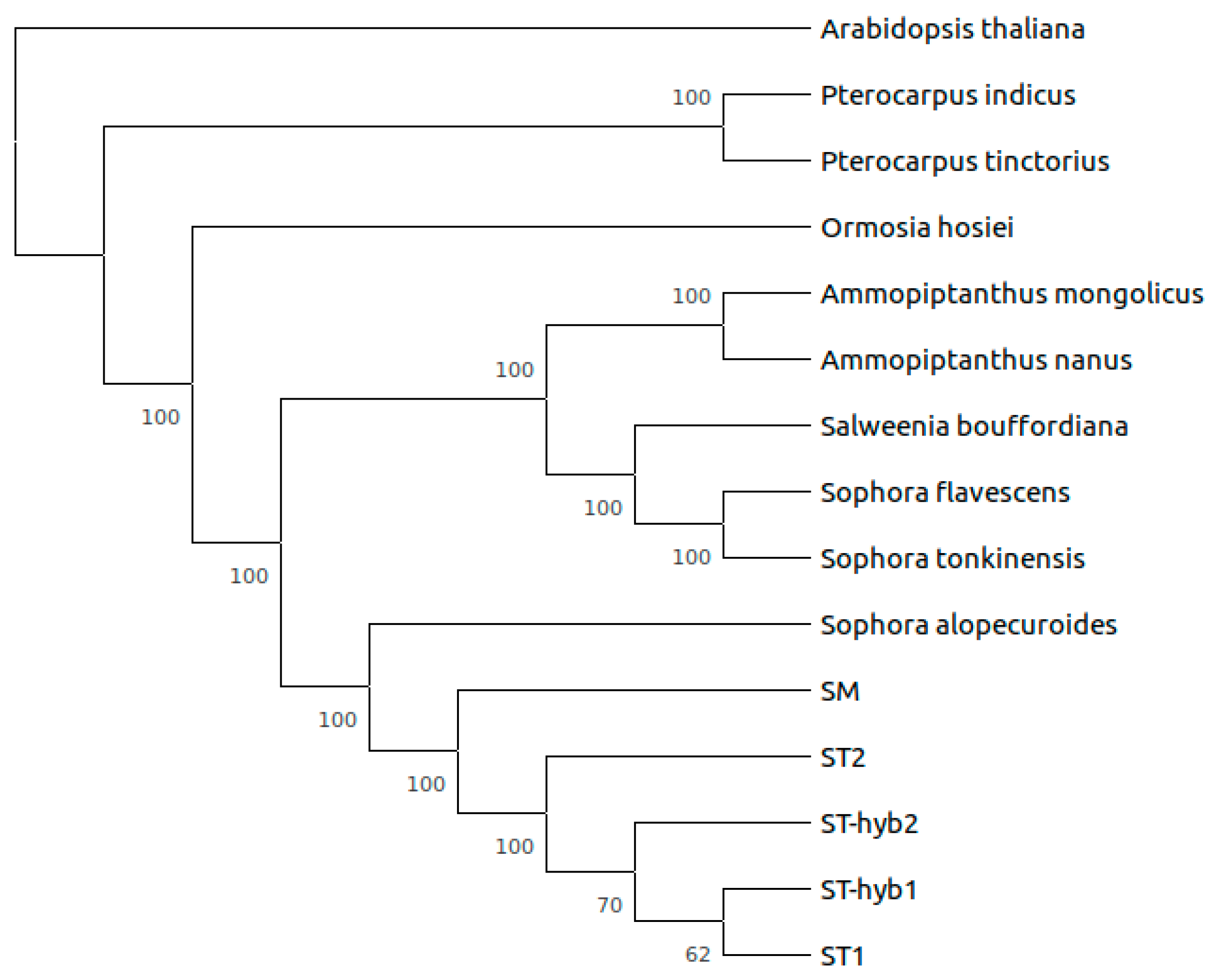 Plants 10 00342 g003