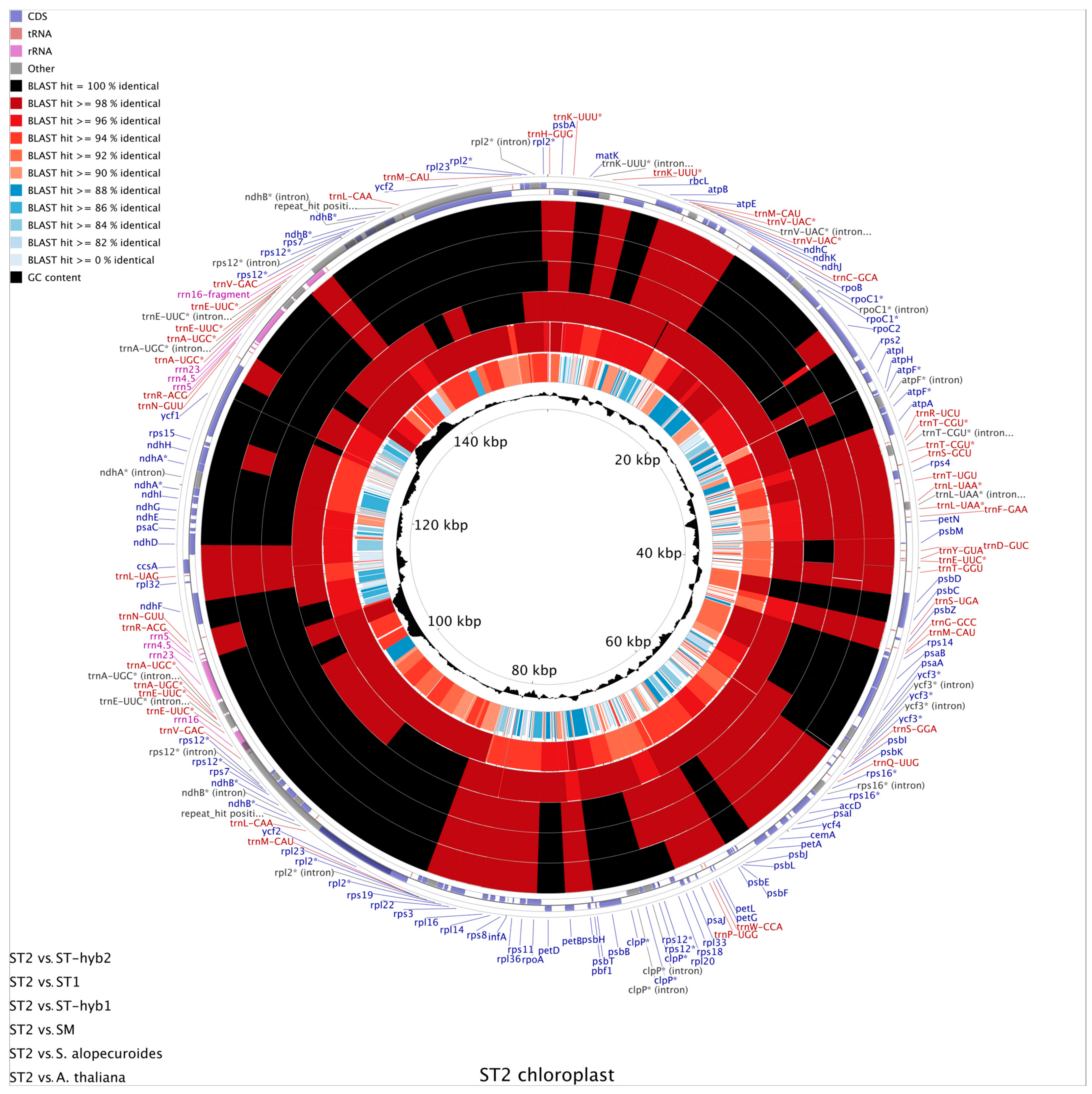 Plants 10 00342 g004