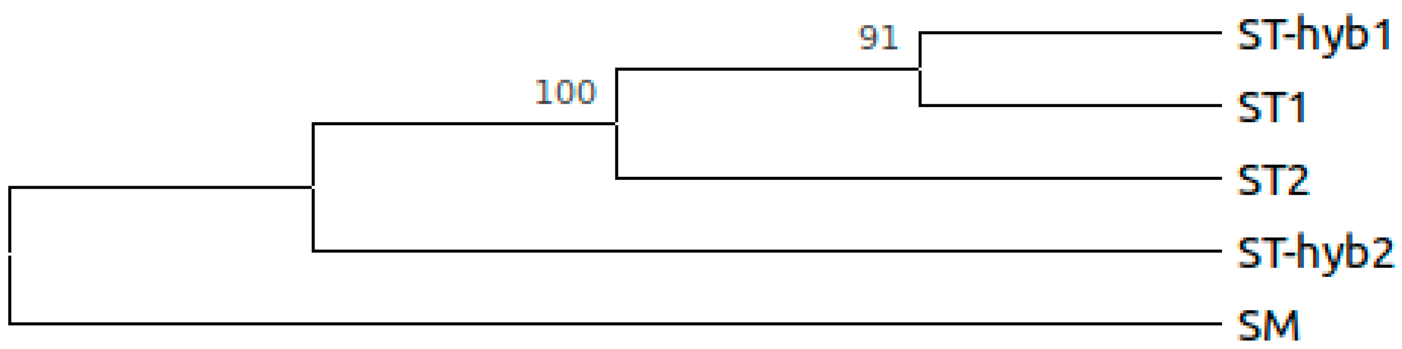 Plants 10 00342 g005