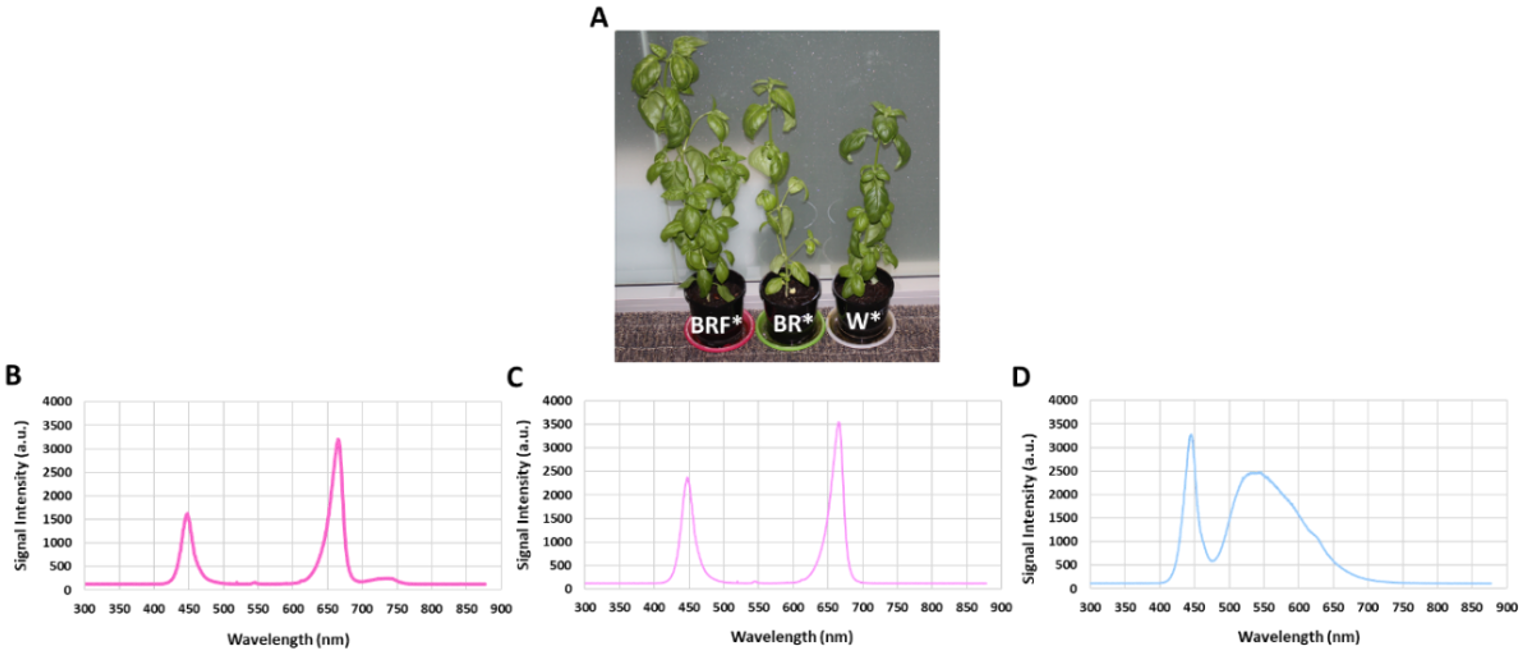 Plants 10 00344 g003 Plants 10 00344 g003