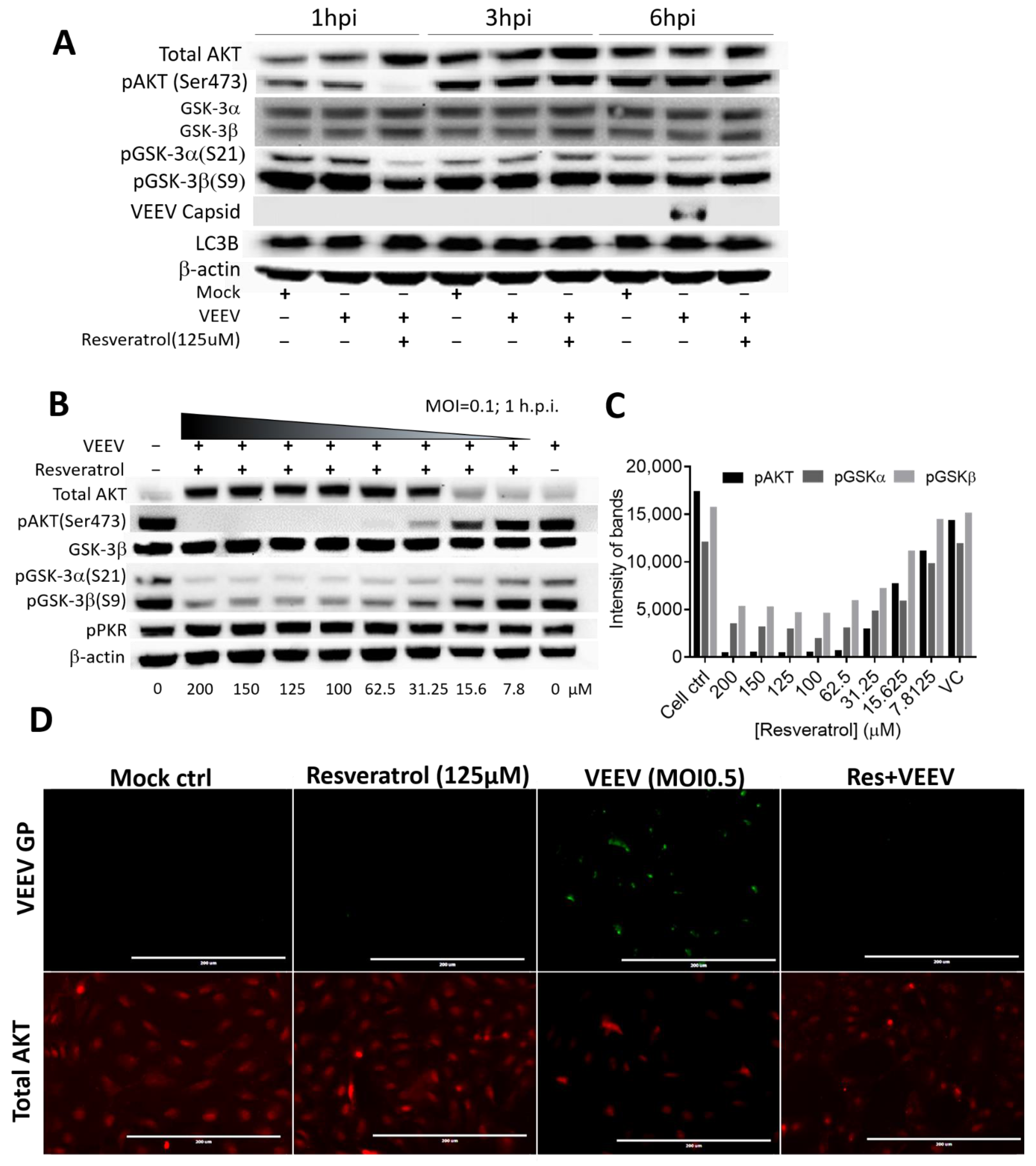 Plants 10 00346 g005