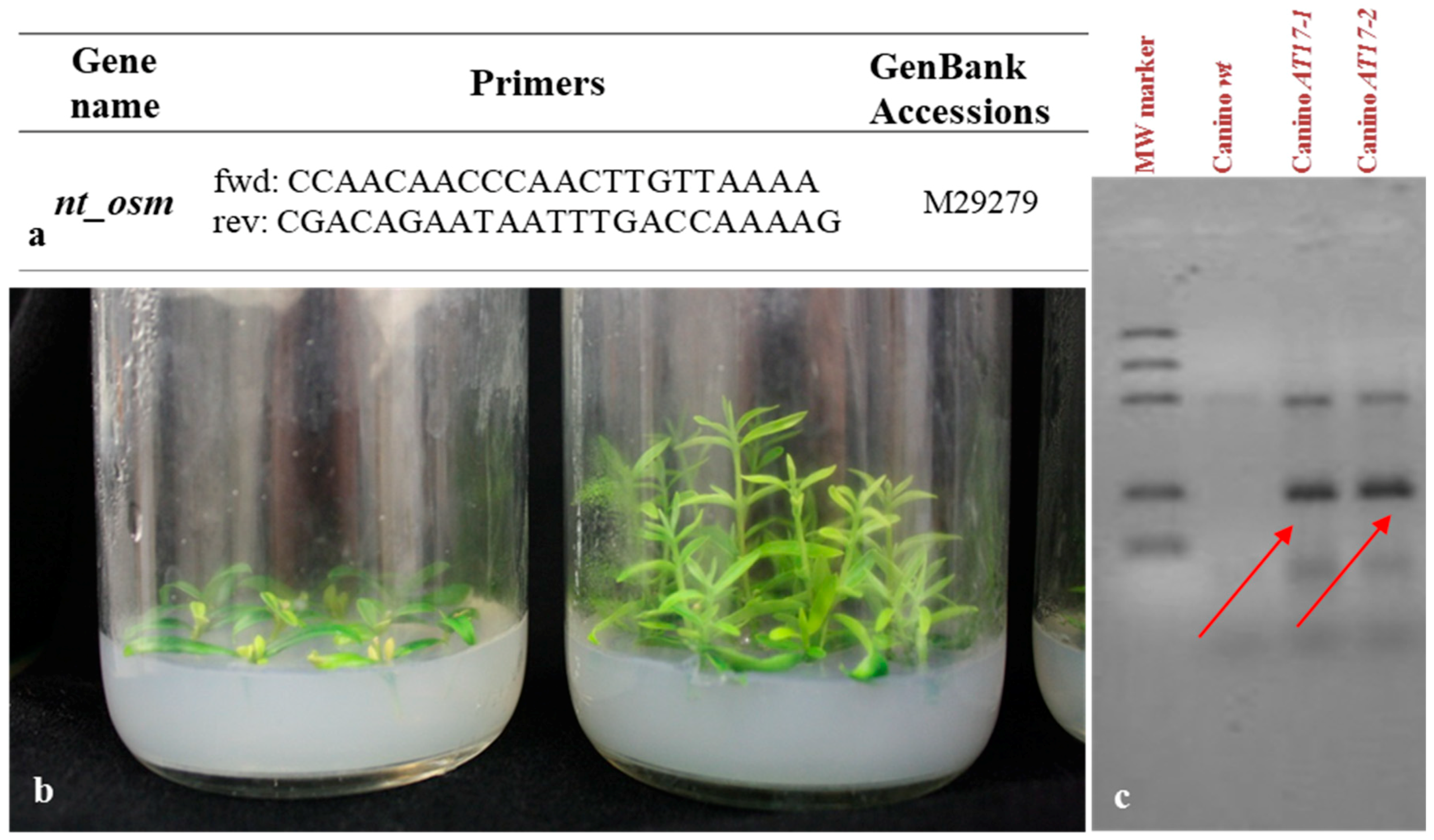 Plants 10 00350 g007