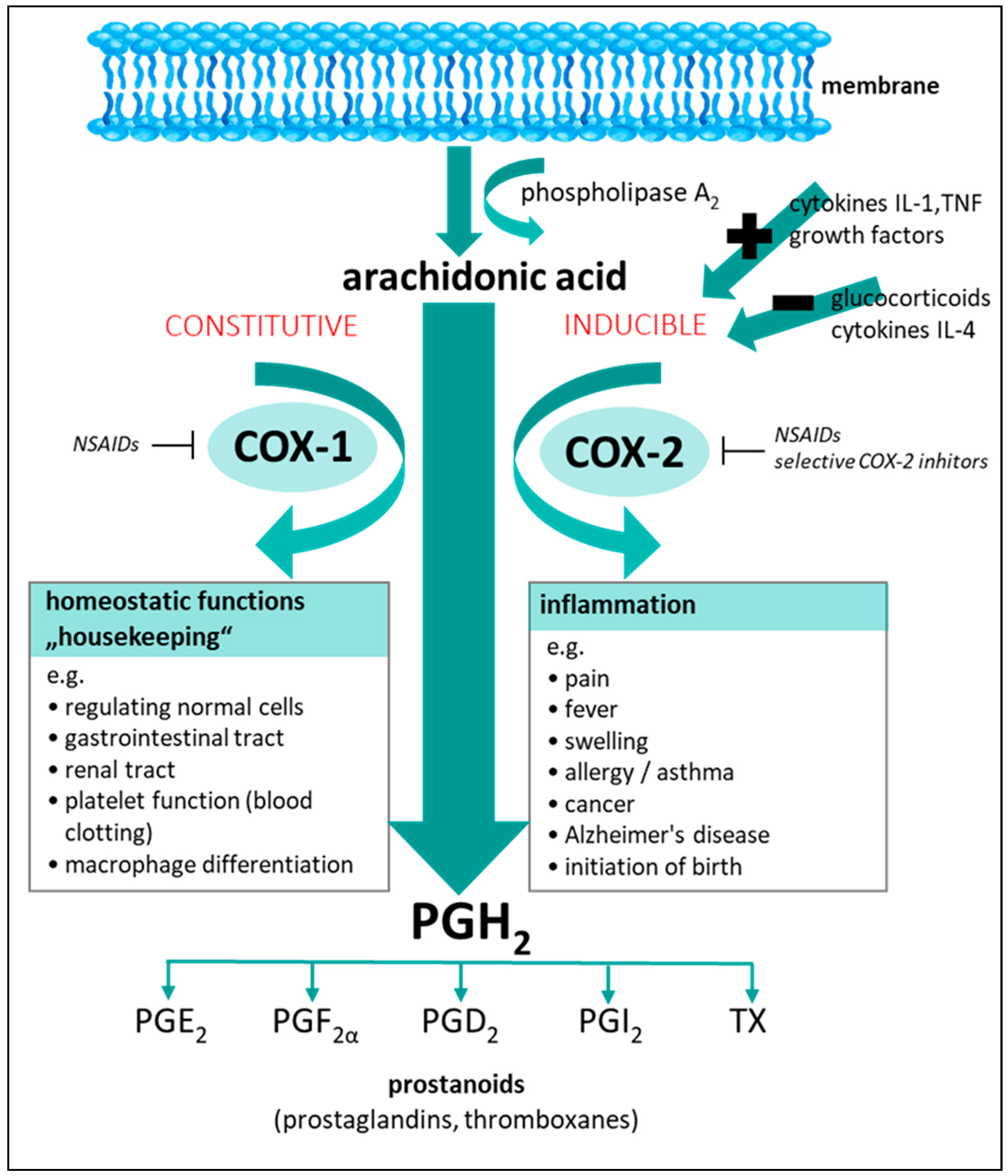 Plants 10 00351 g002
