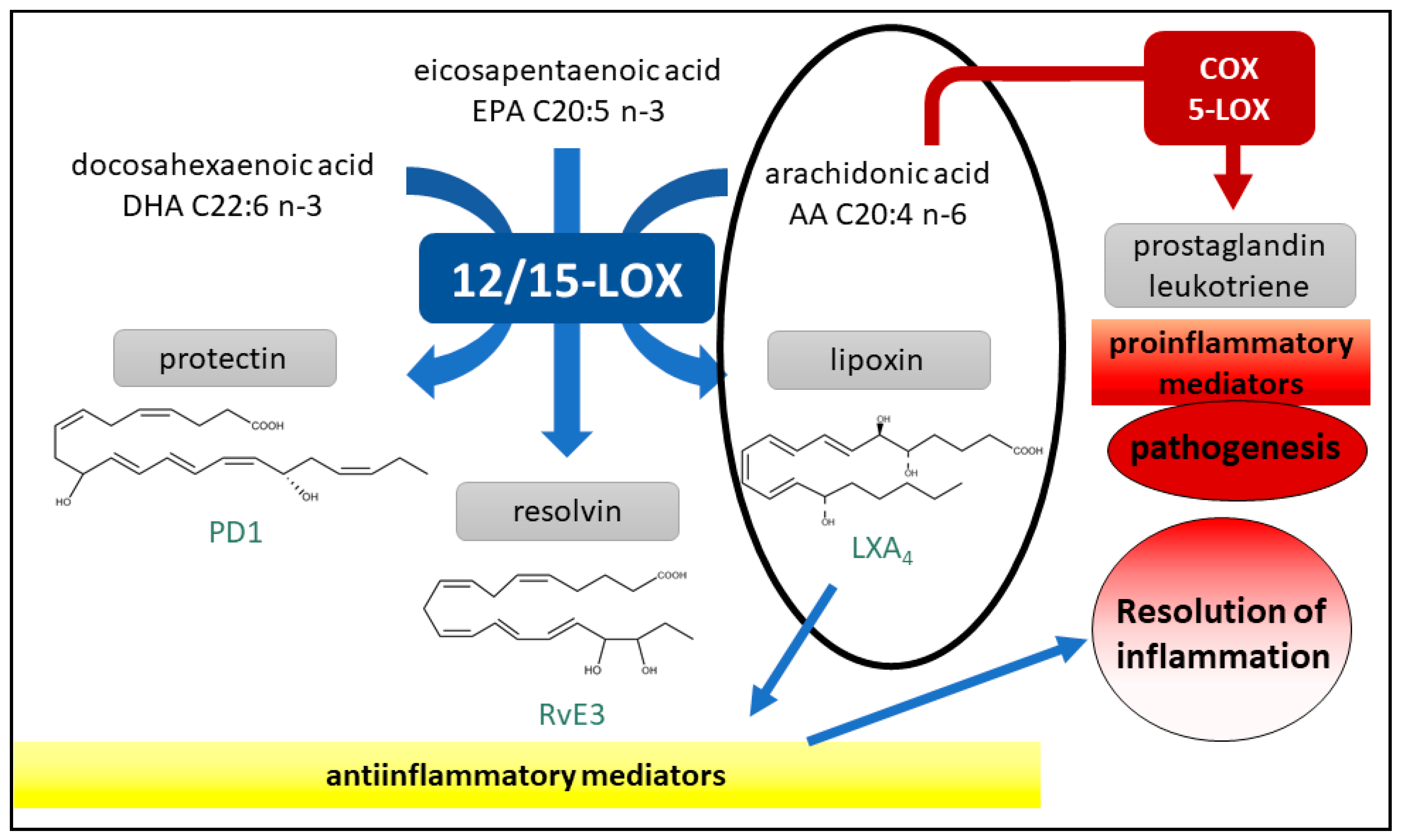Plants 10 00351 g003