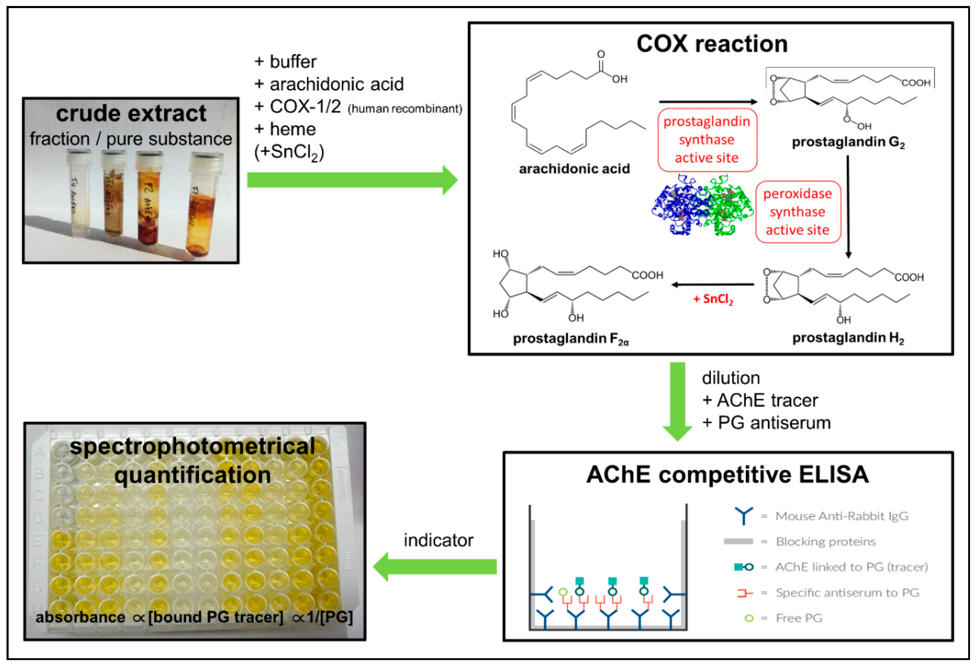 Plants 10 00351 g004