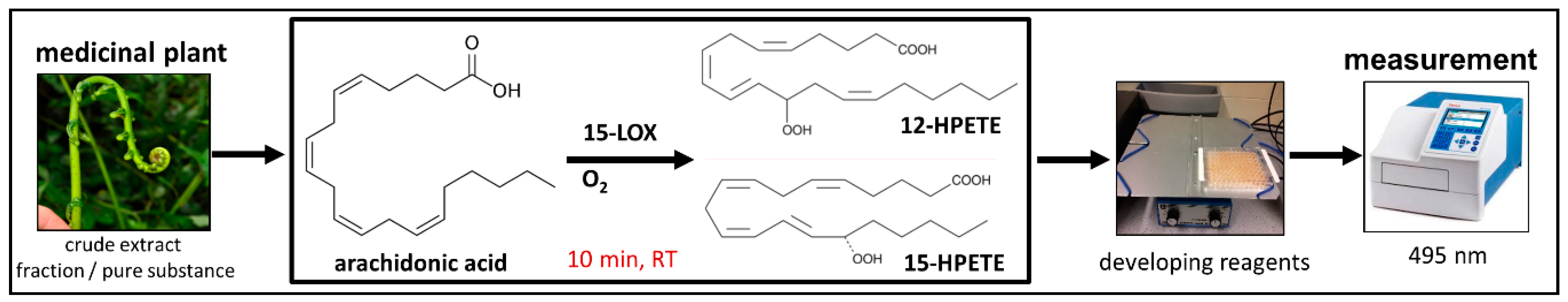 Plants 10 00351 g007