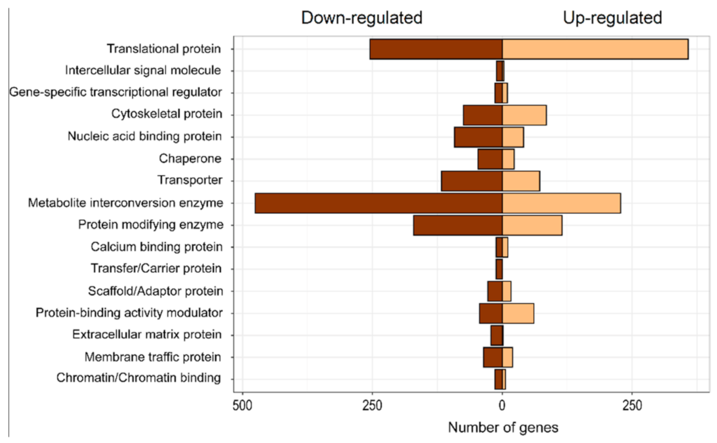 Plants 10 00357 g005