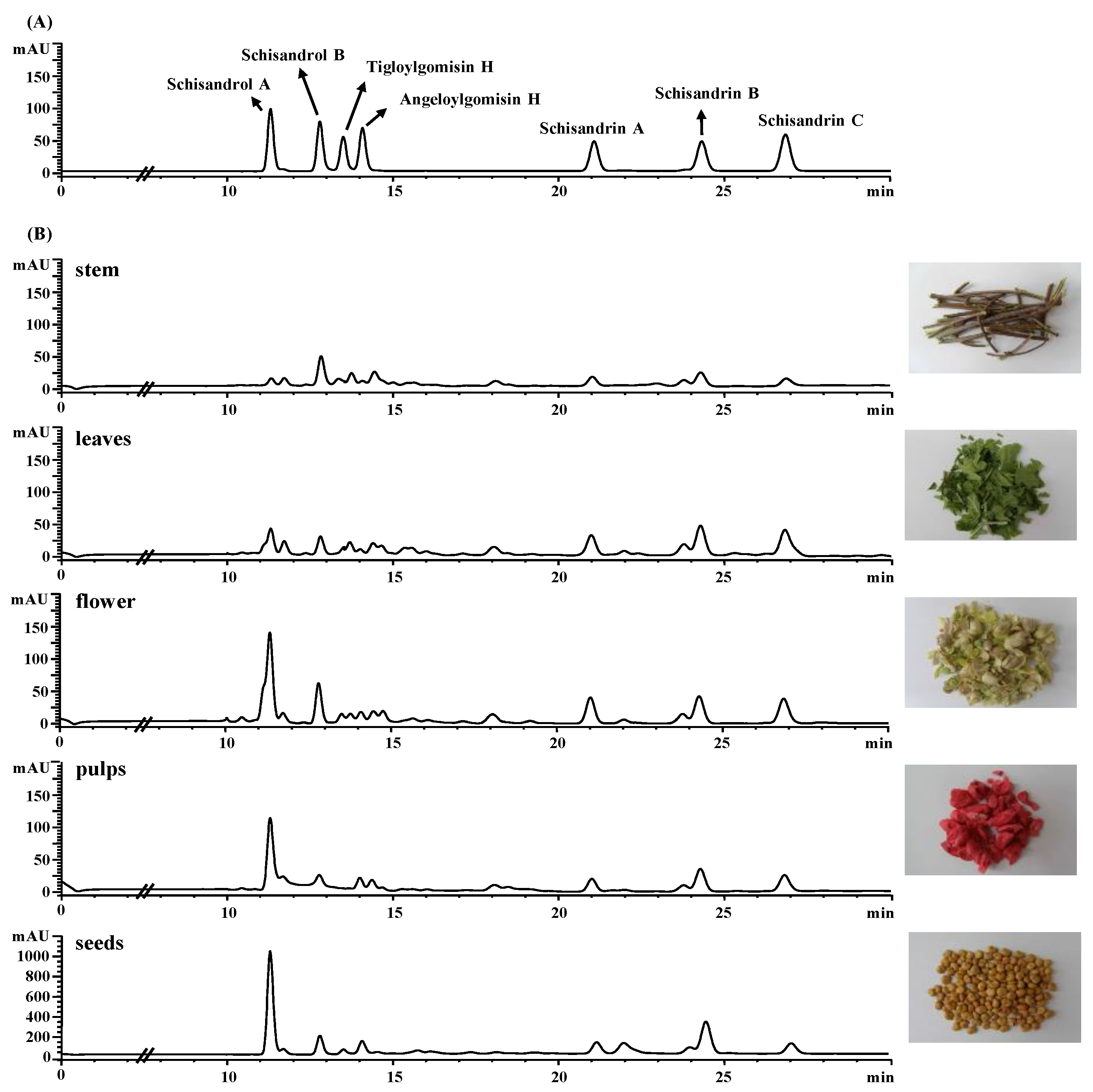 Plants 10 00361 g002