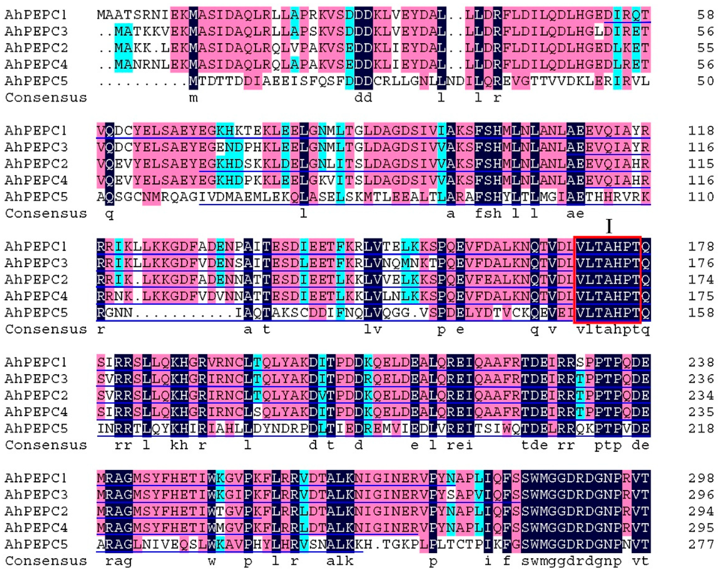 Plants 10 00365 g003