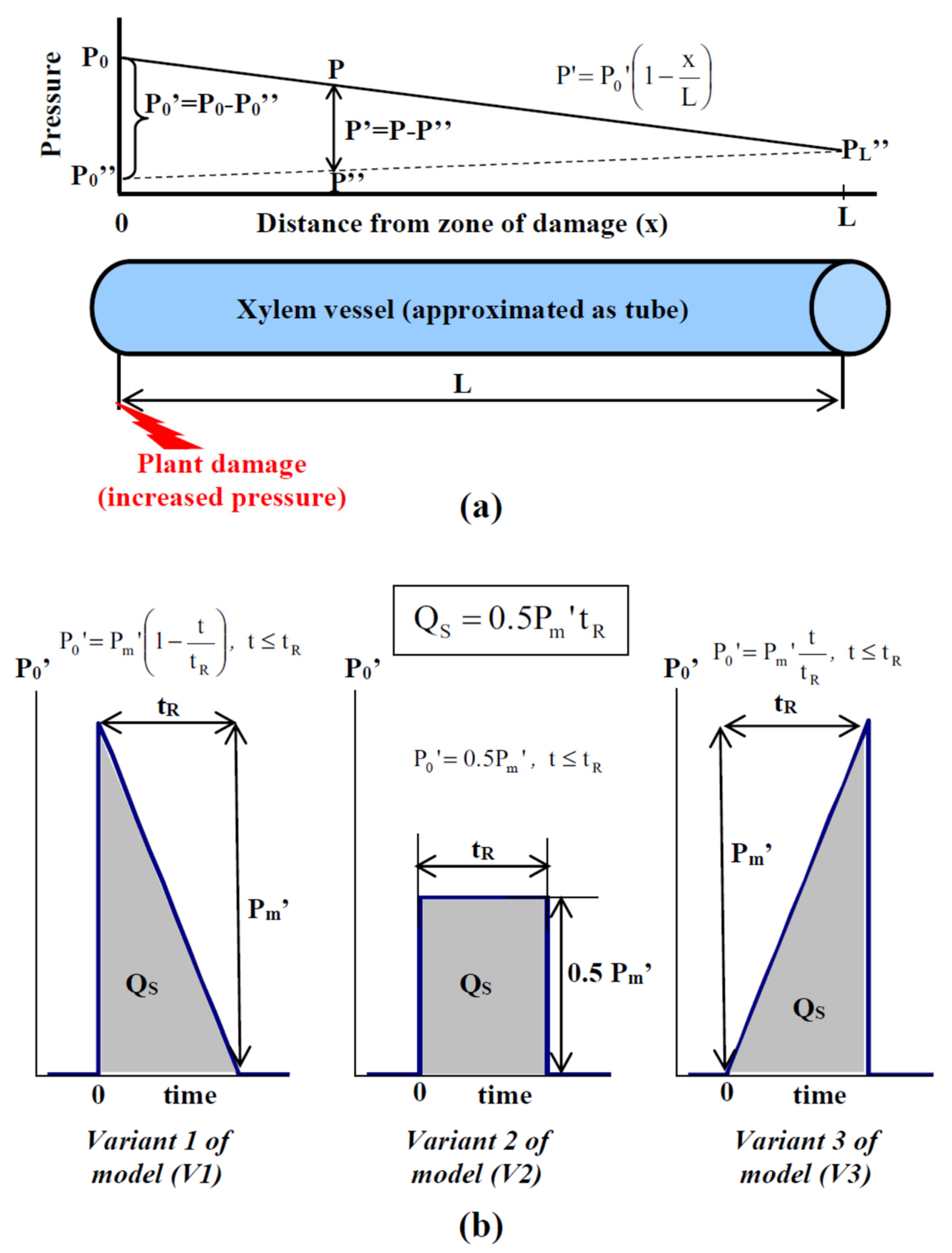 Plants 10 00372 g001 Plants 10 00372 g001