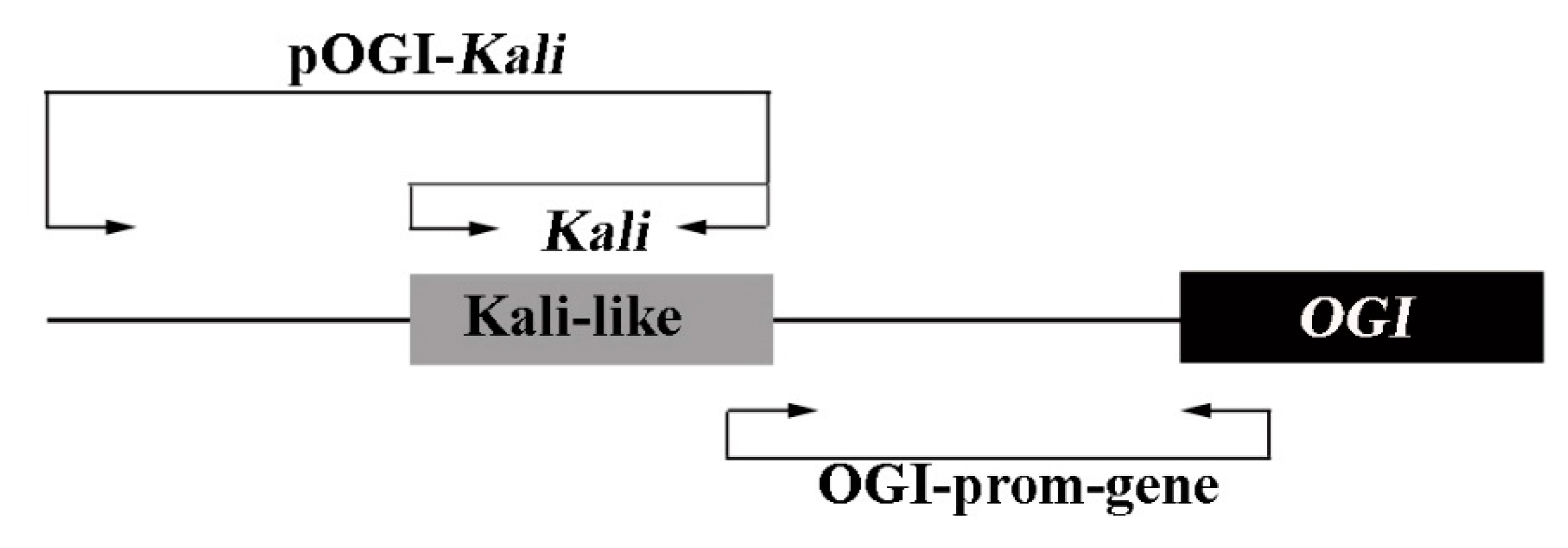 Plants 10 00390 g001