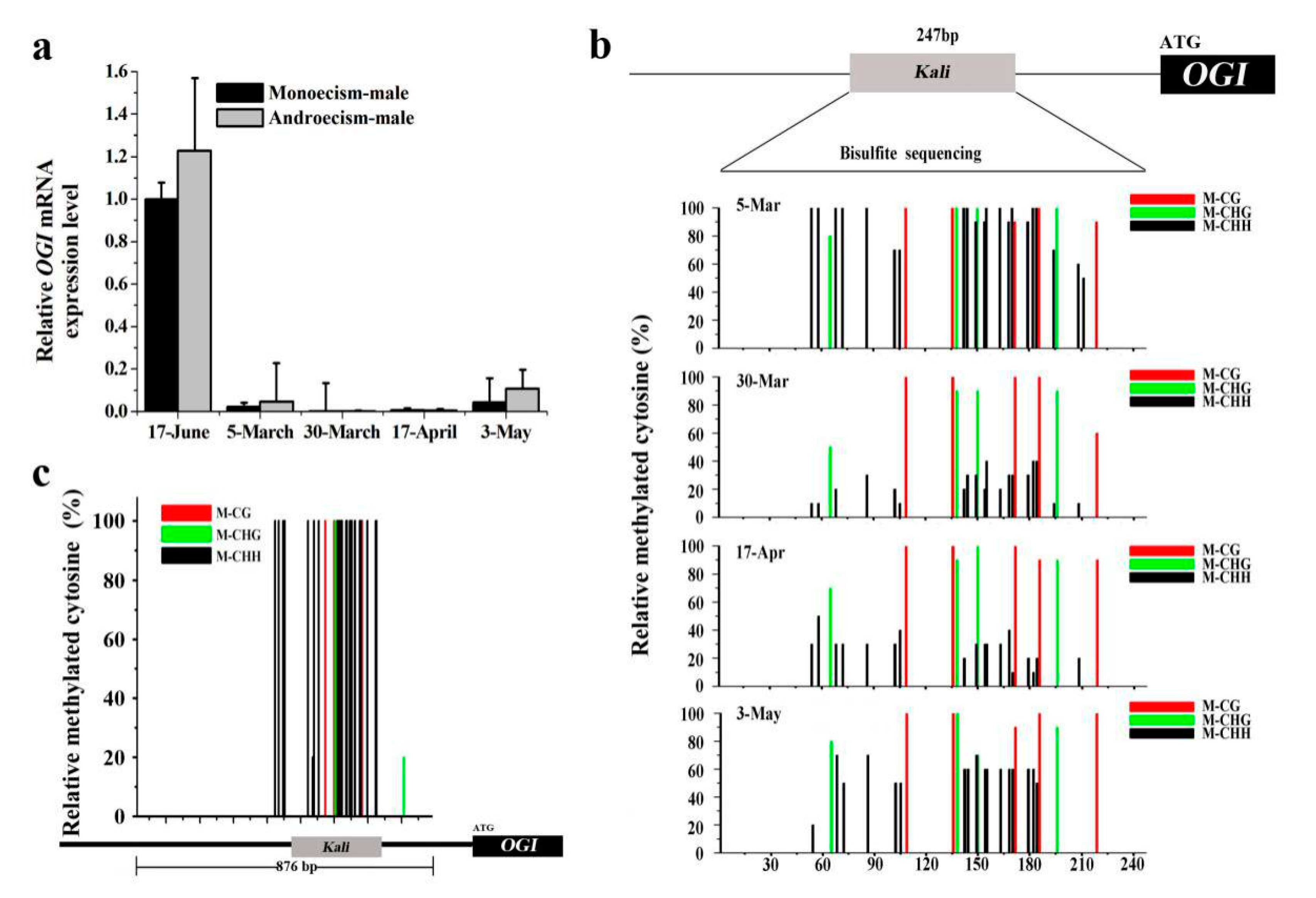 Plants 10 00390 g002