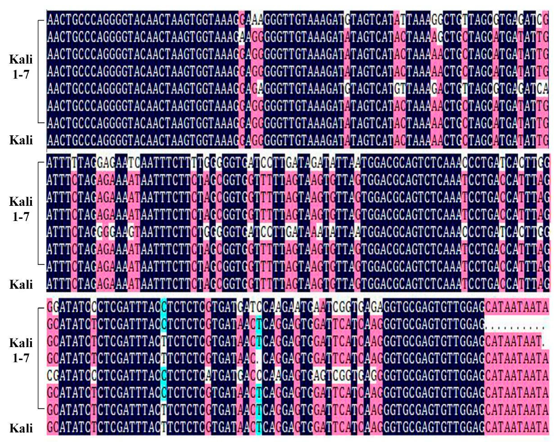 Plants 10 00390 g004
