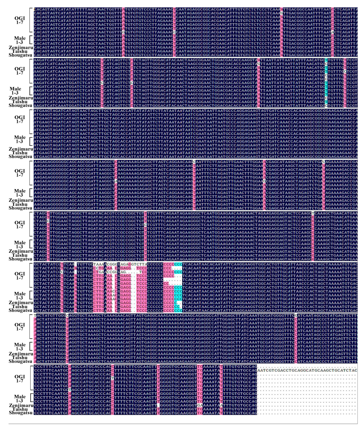 Plants 10 00390 g005