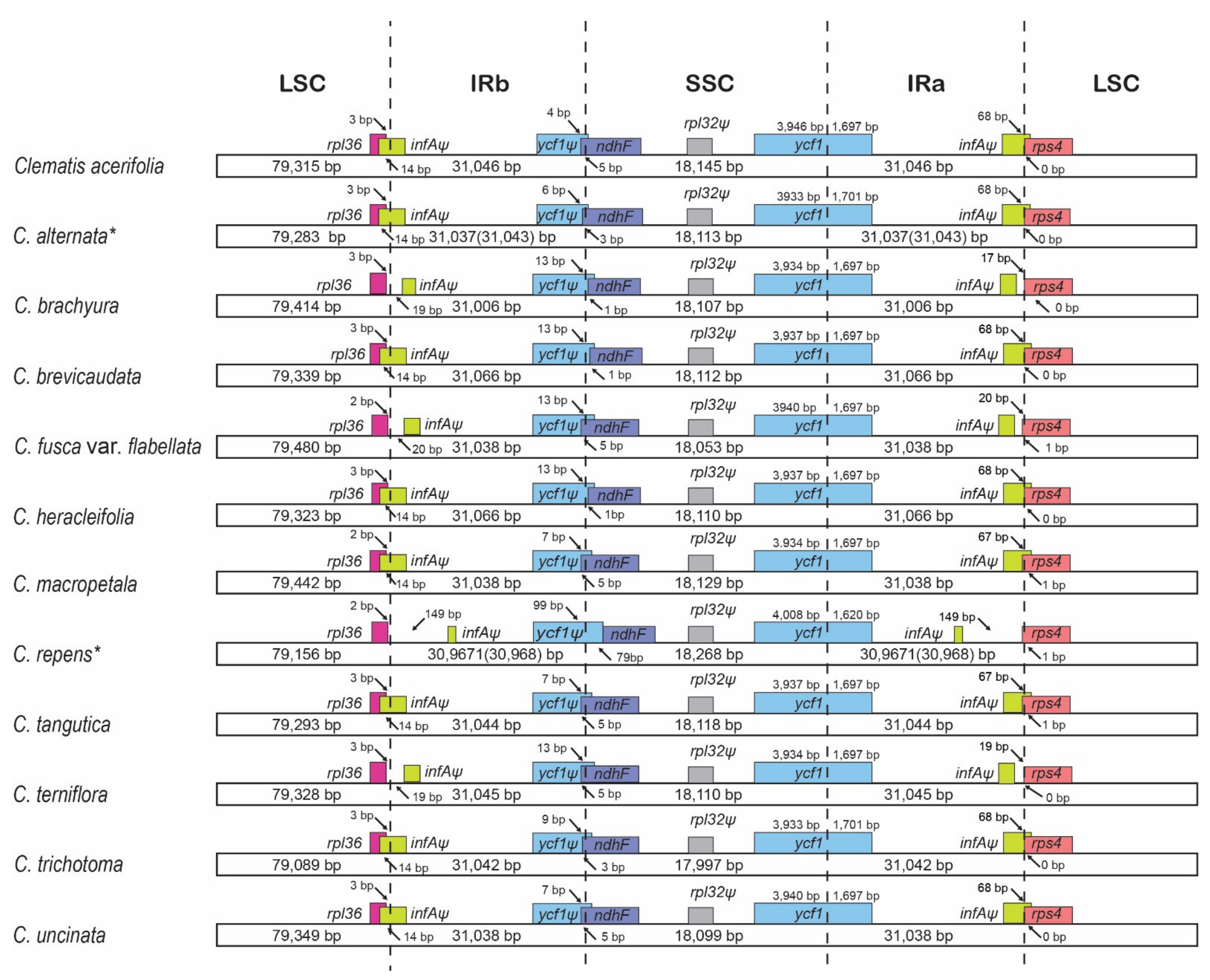 Plants 10 00397 g003