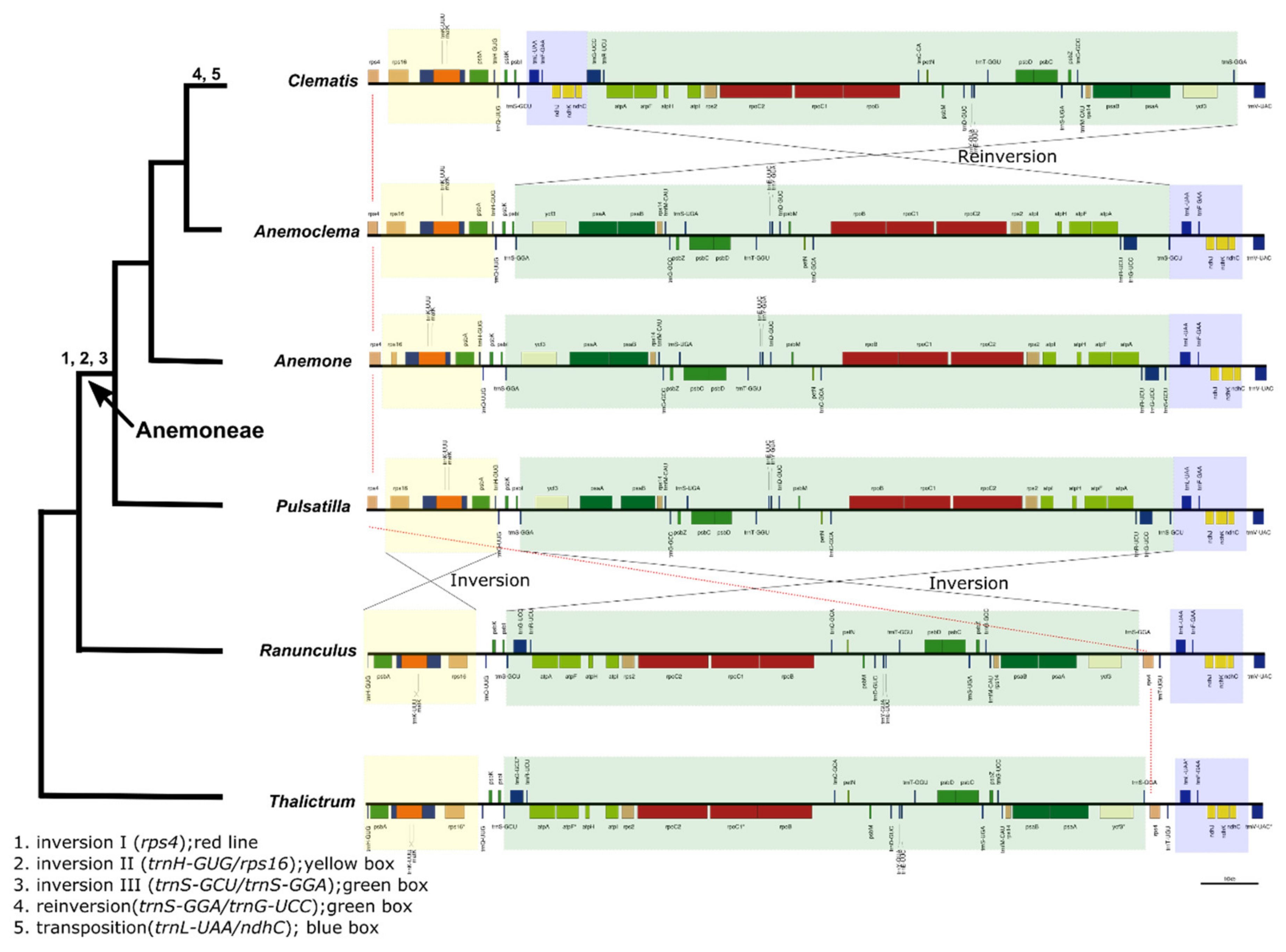 Plants 10 00397 g007