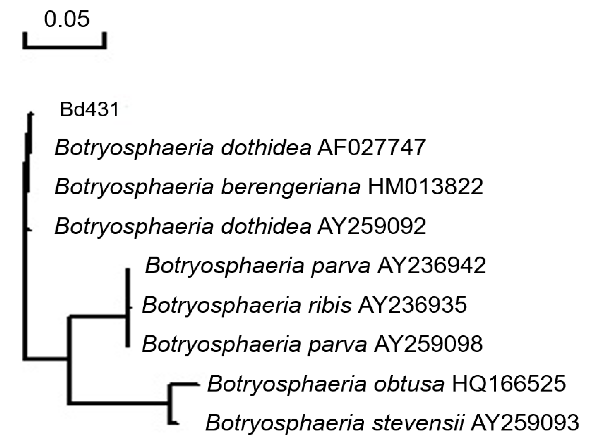 Plants 10 00401 g003