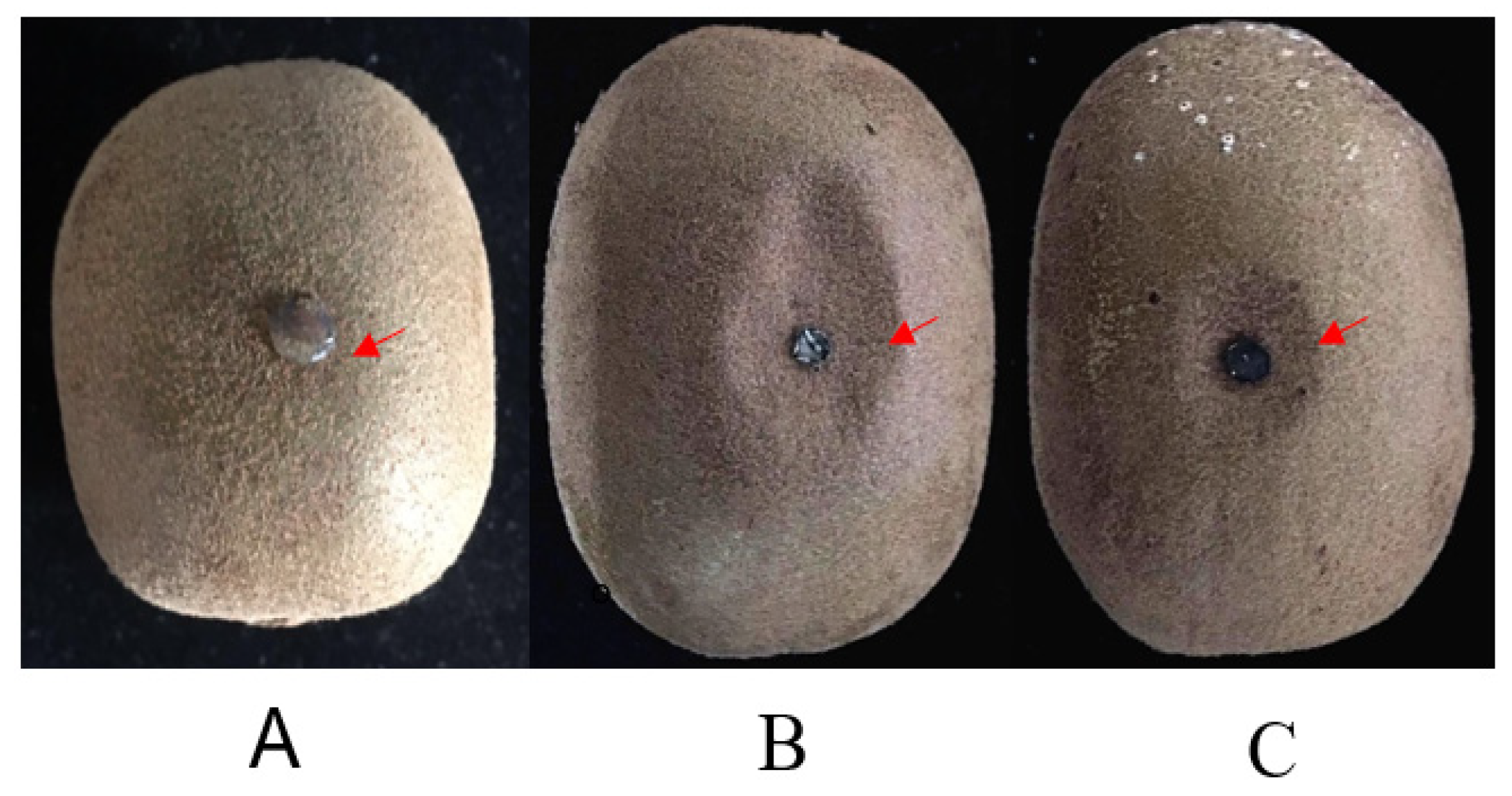 Plants 10 00401 g004
