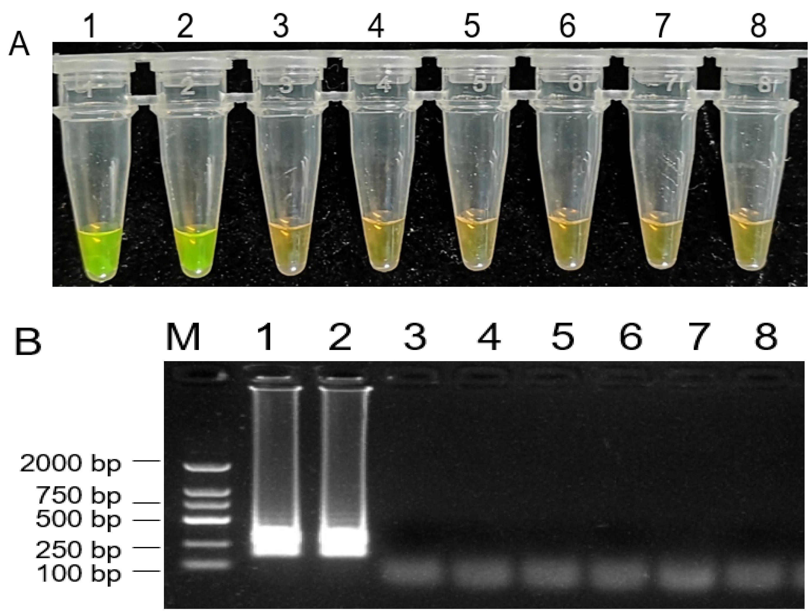 Plants 10 00401 g005