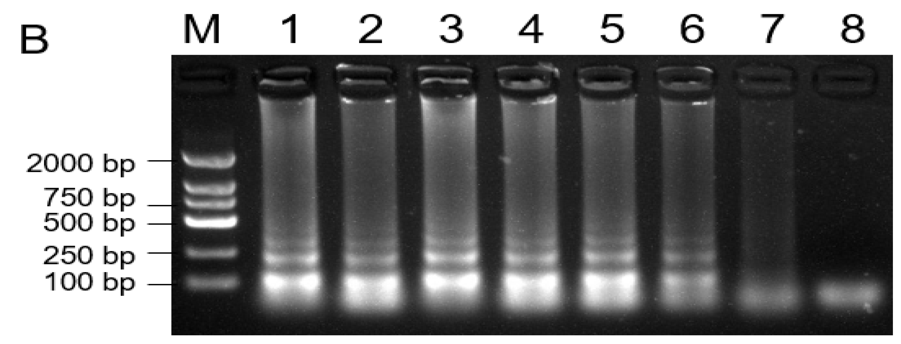 Plants 10 00401 g006b