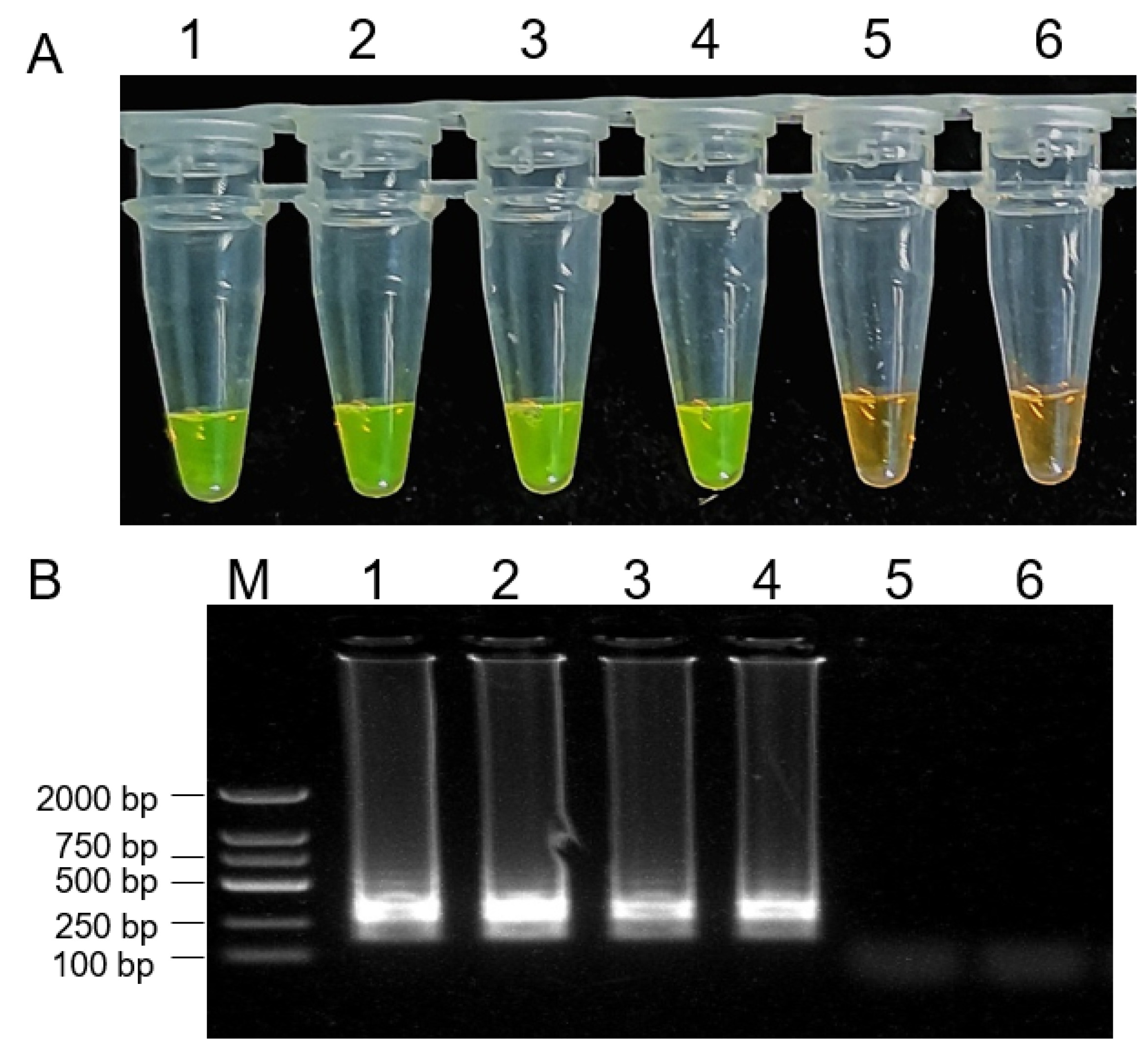 Plants 10 00401 g007