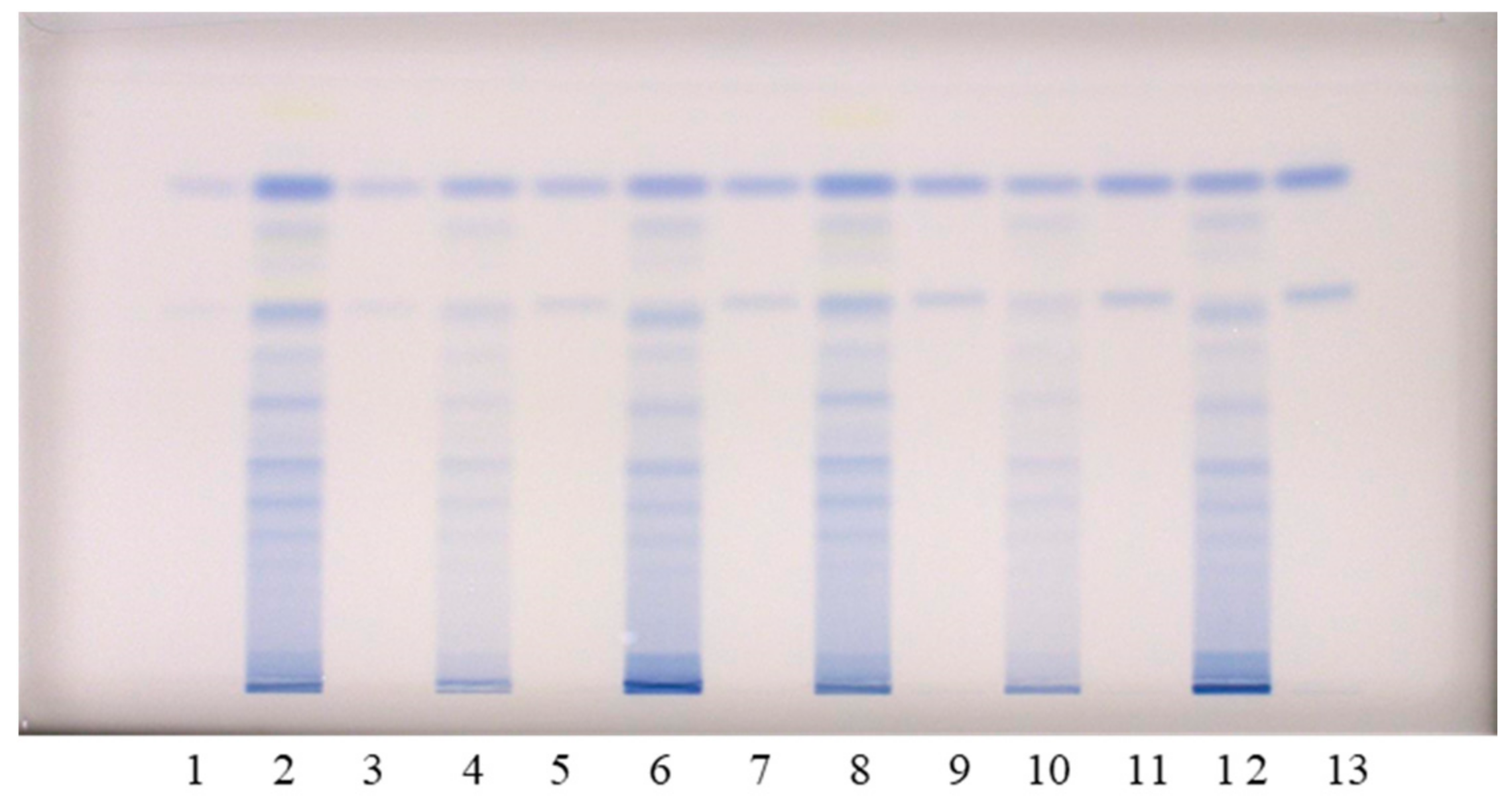 Plants 10 00402 g003