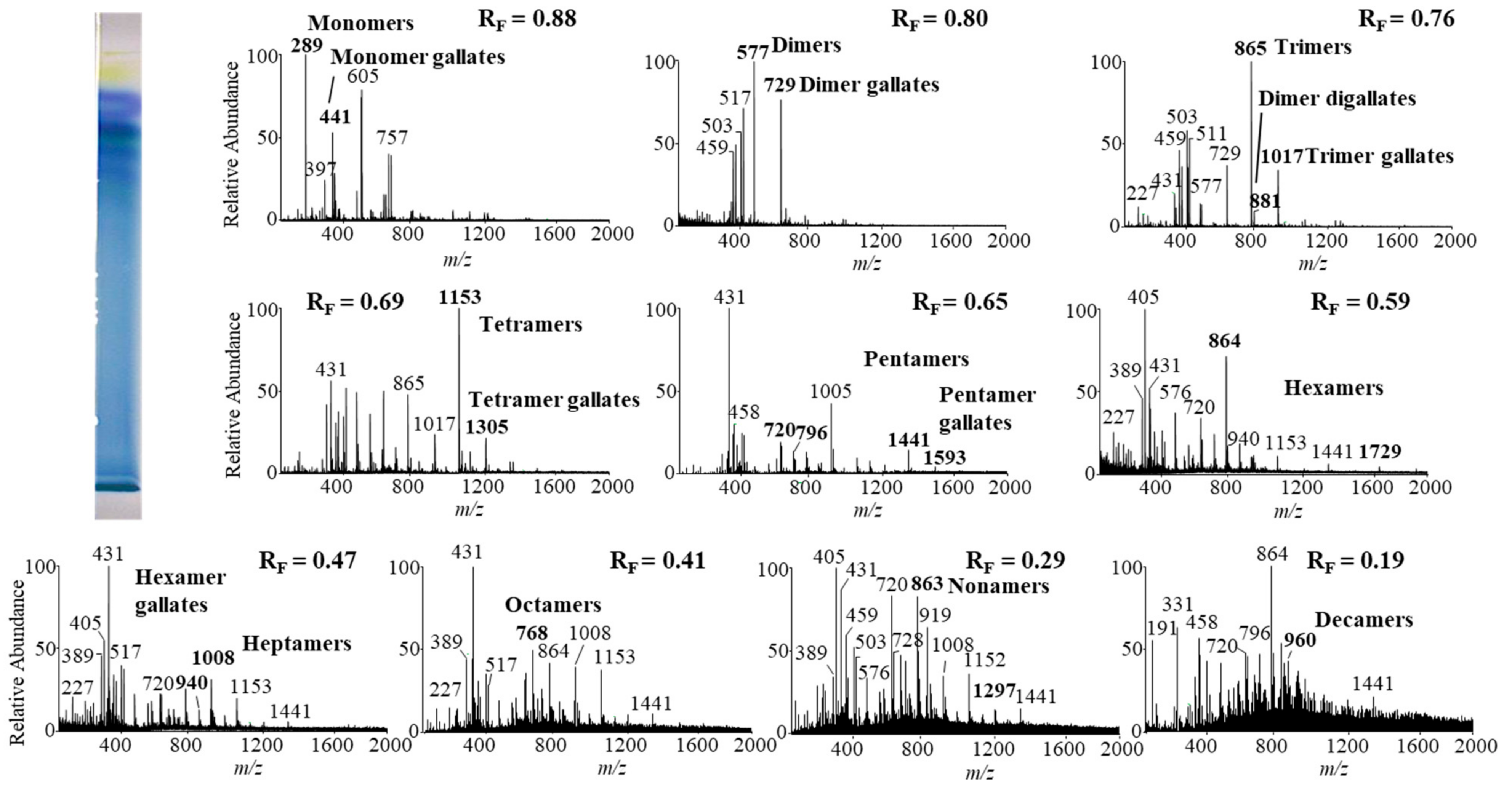 Plants 10 00402 g008