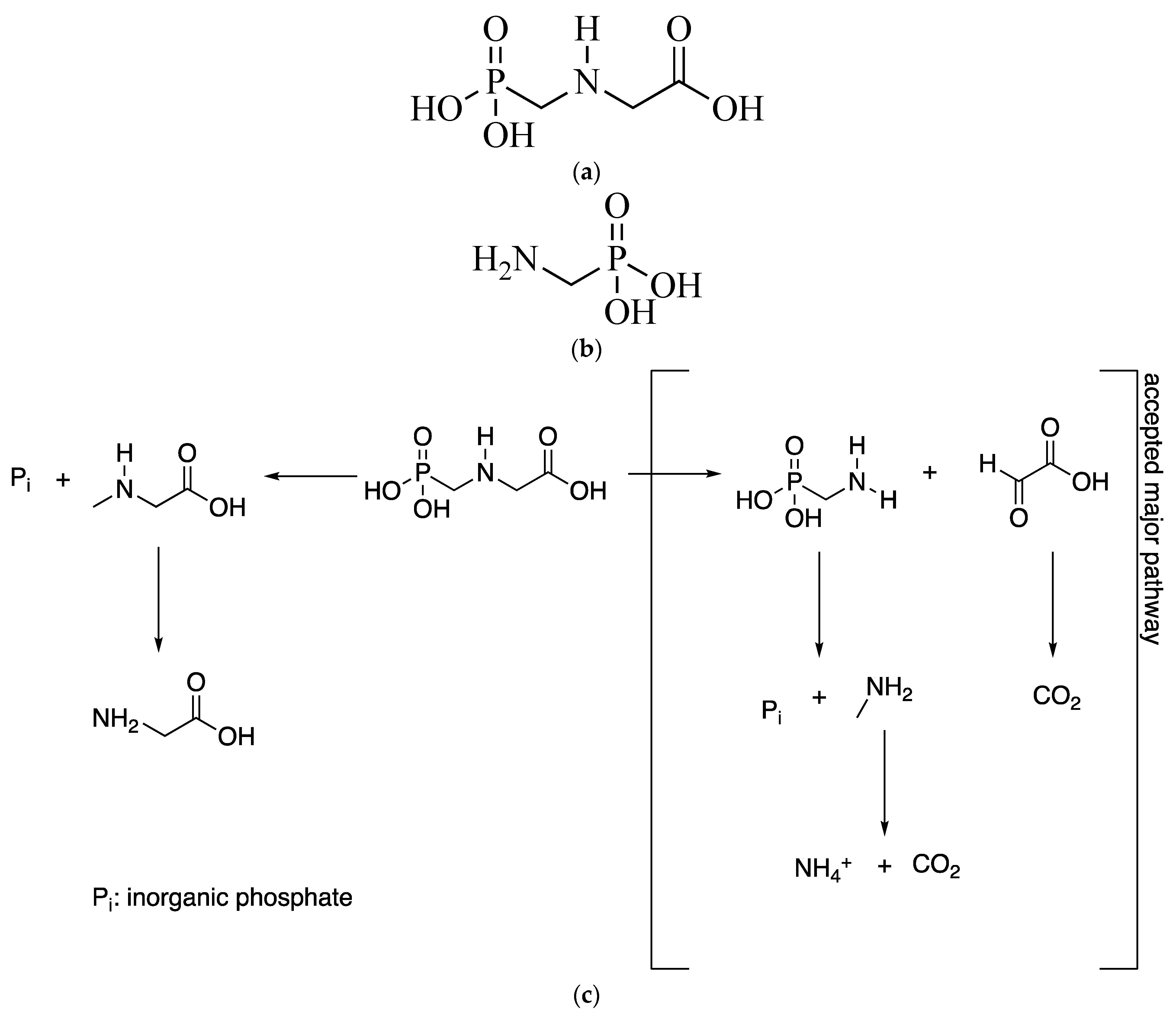 Plants 10 00405 g001
