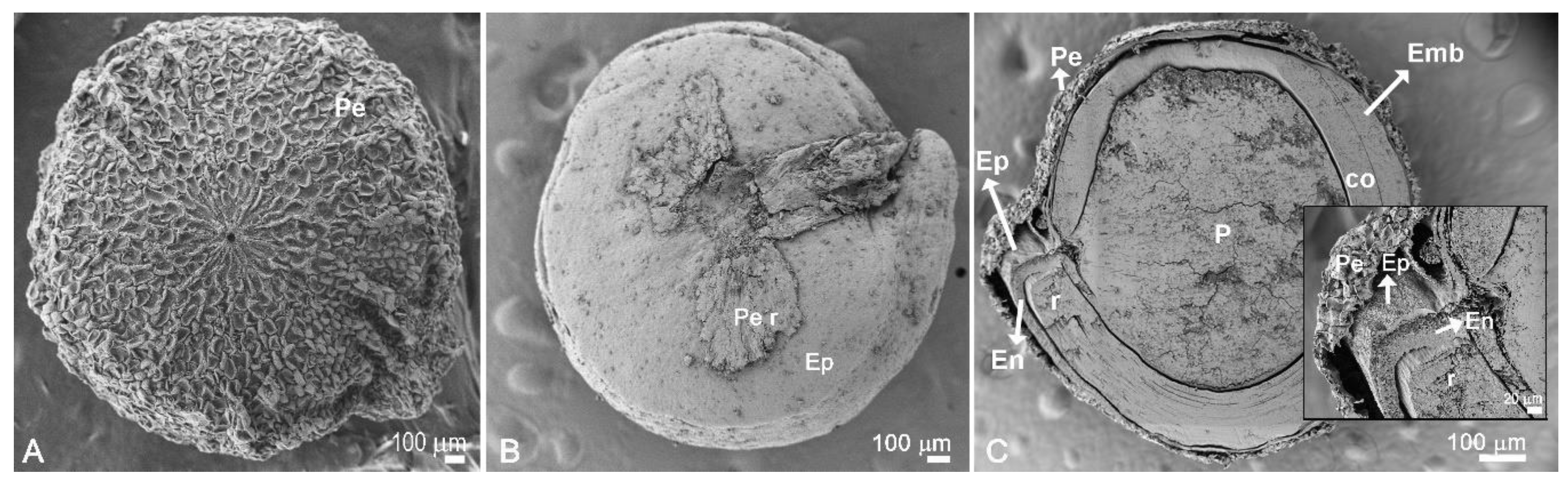 Plants 10 00407 g004