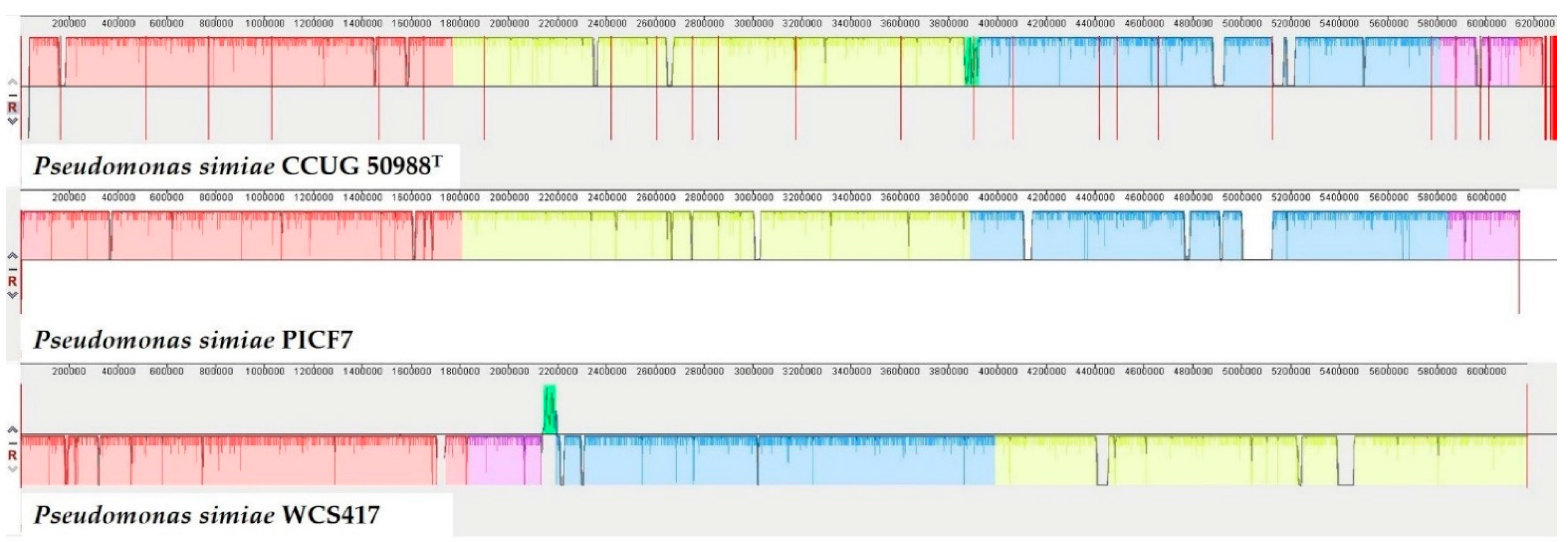 Plants 10 00412 g001