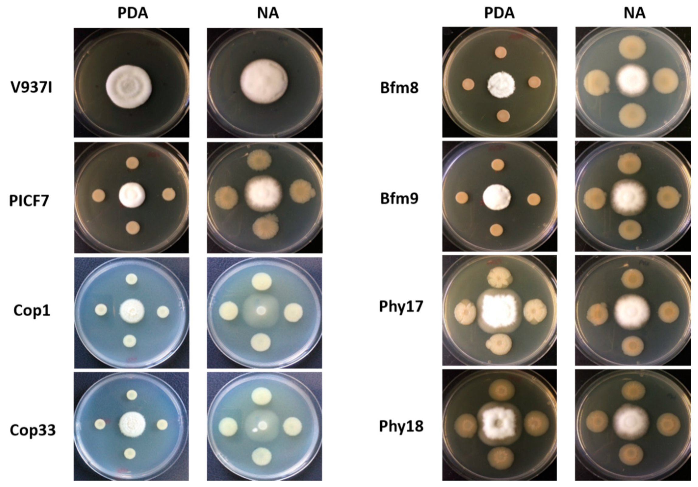 Plants 10 00412 g006