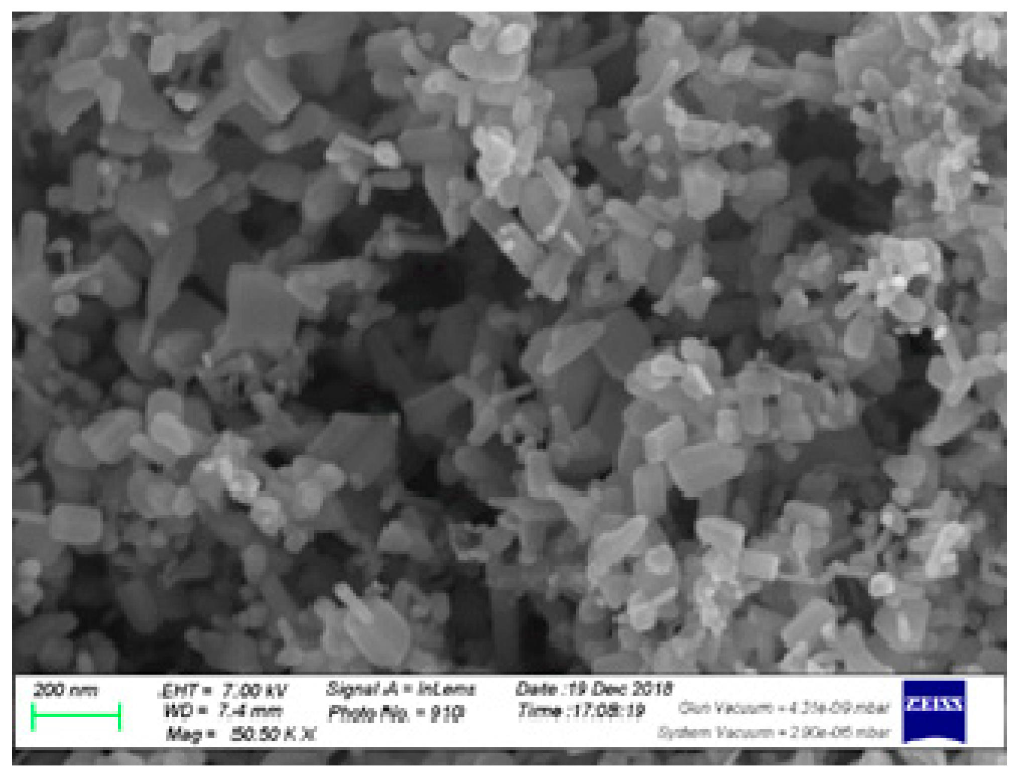 Plants 10 00421 g001