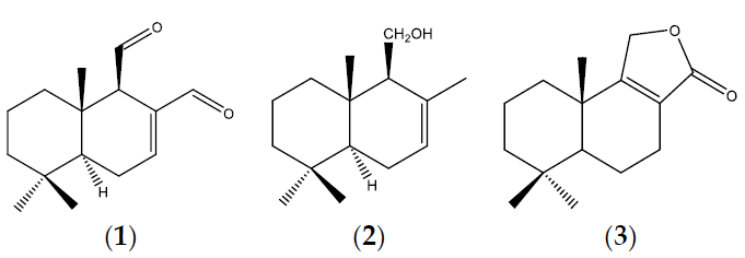 Plants 10 00425 g002