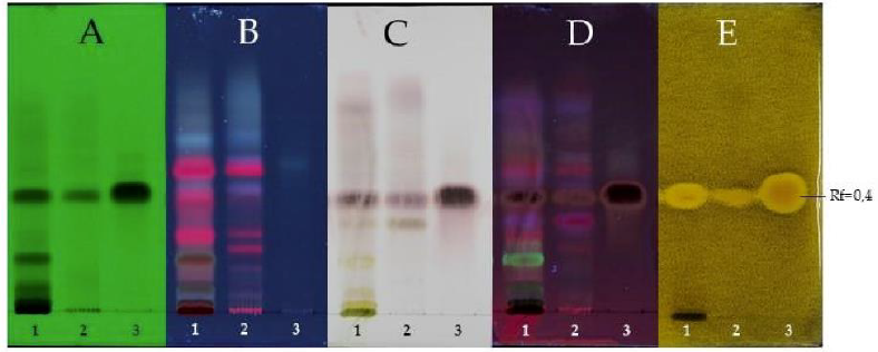 Plants 10 00425 g003