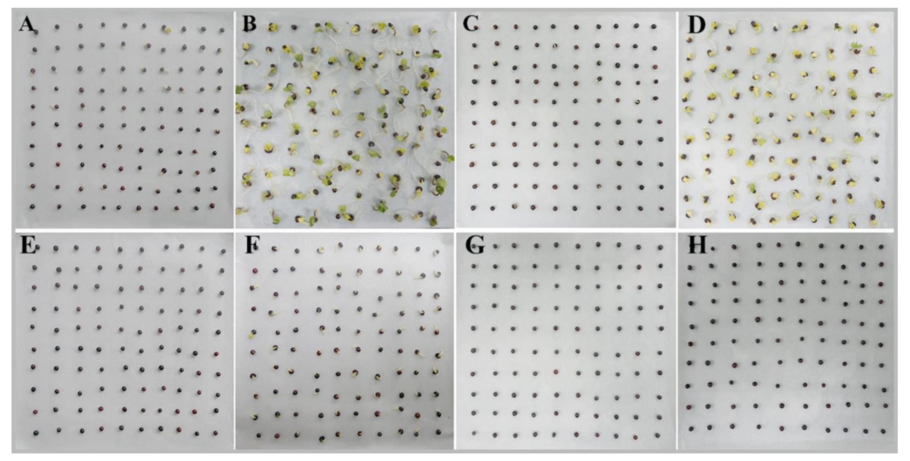 Plants 10 00426 g001