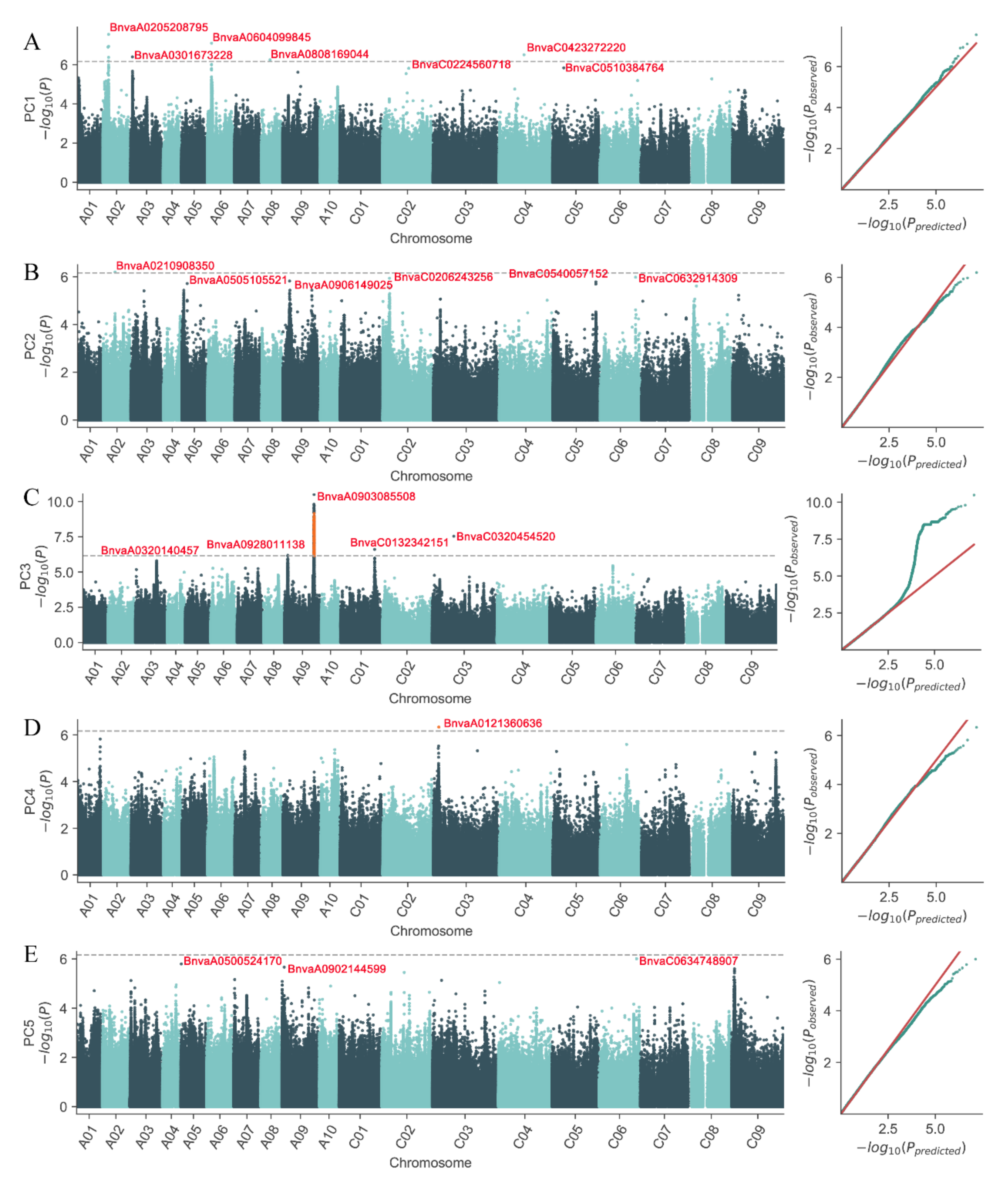 Plants 10 00426 g004