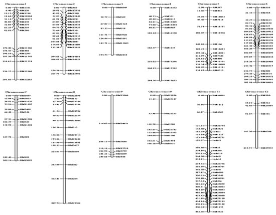 Plants 10 00434 g0a1