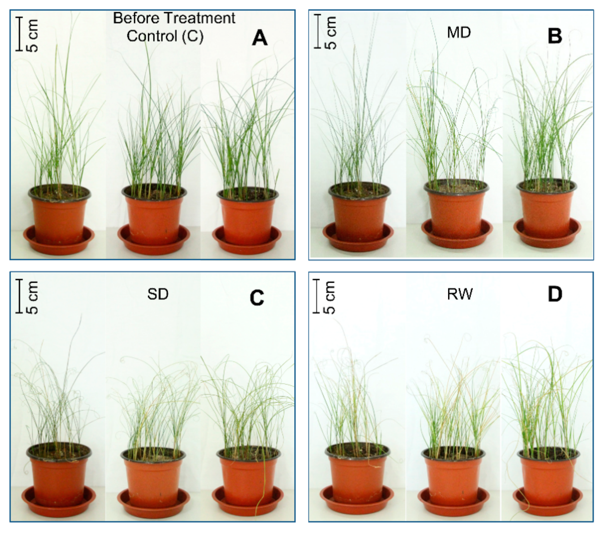 Plants 10 00436 g001 Plants 10 00436 g001