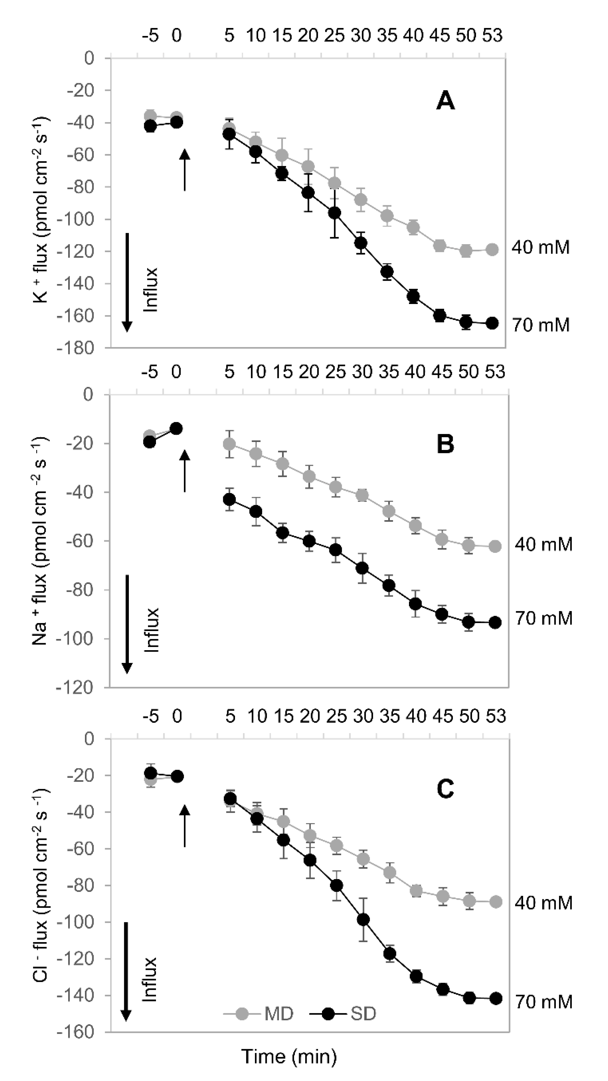 Plants 10 00436 g008 Plants 10 00436 g008