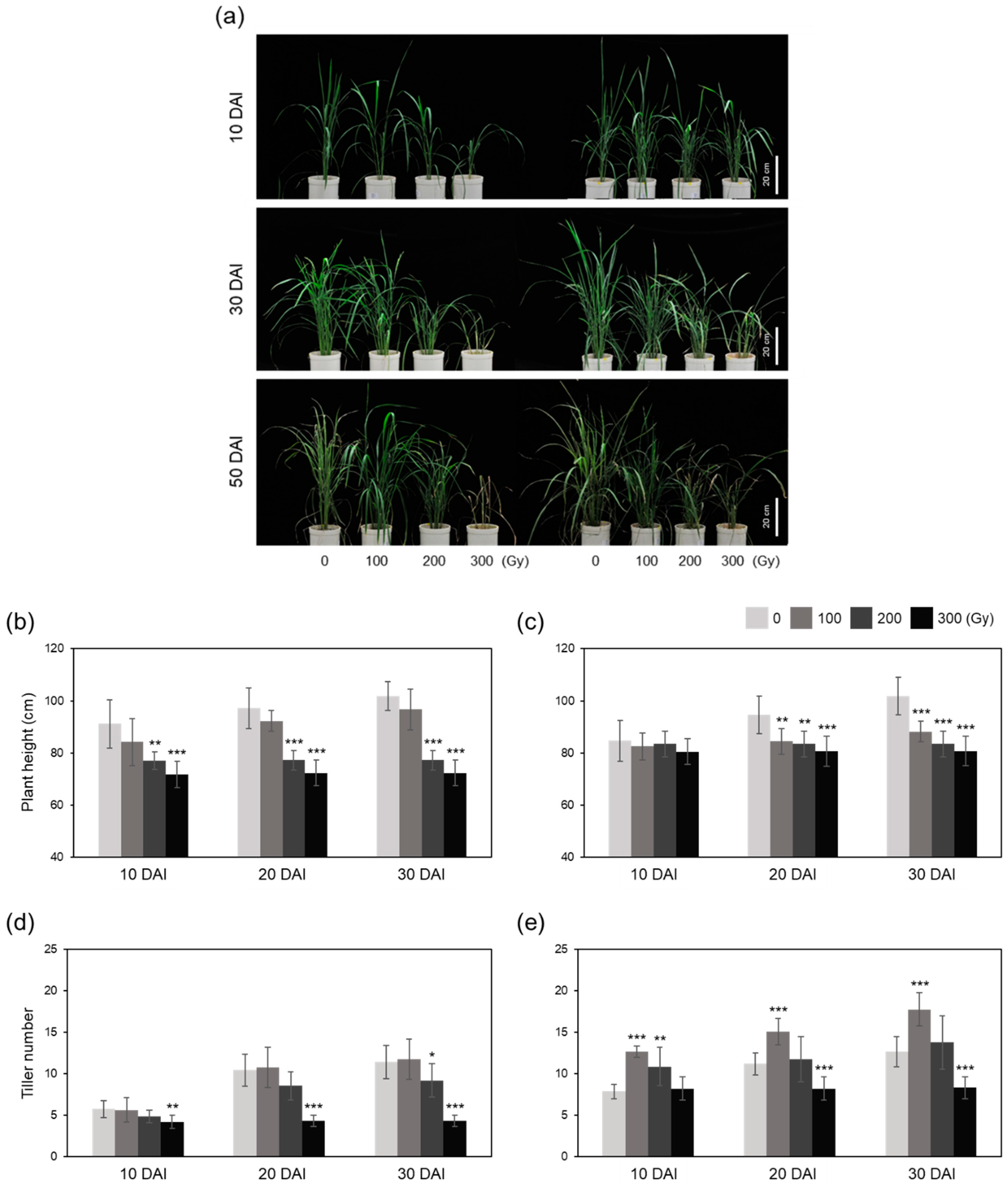 Plants 10 00439 g008