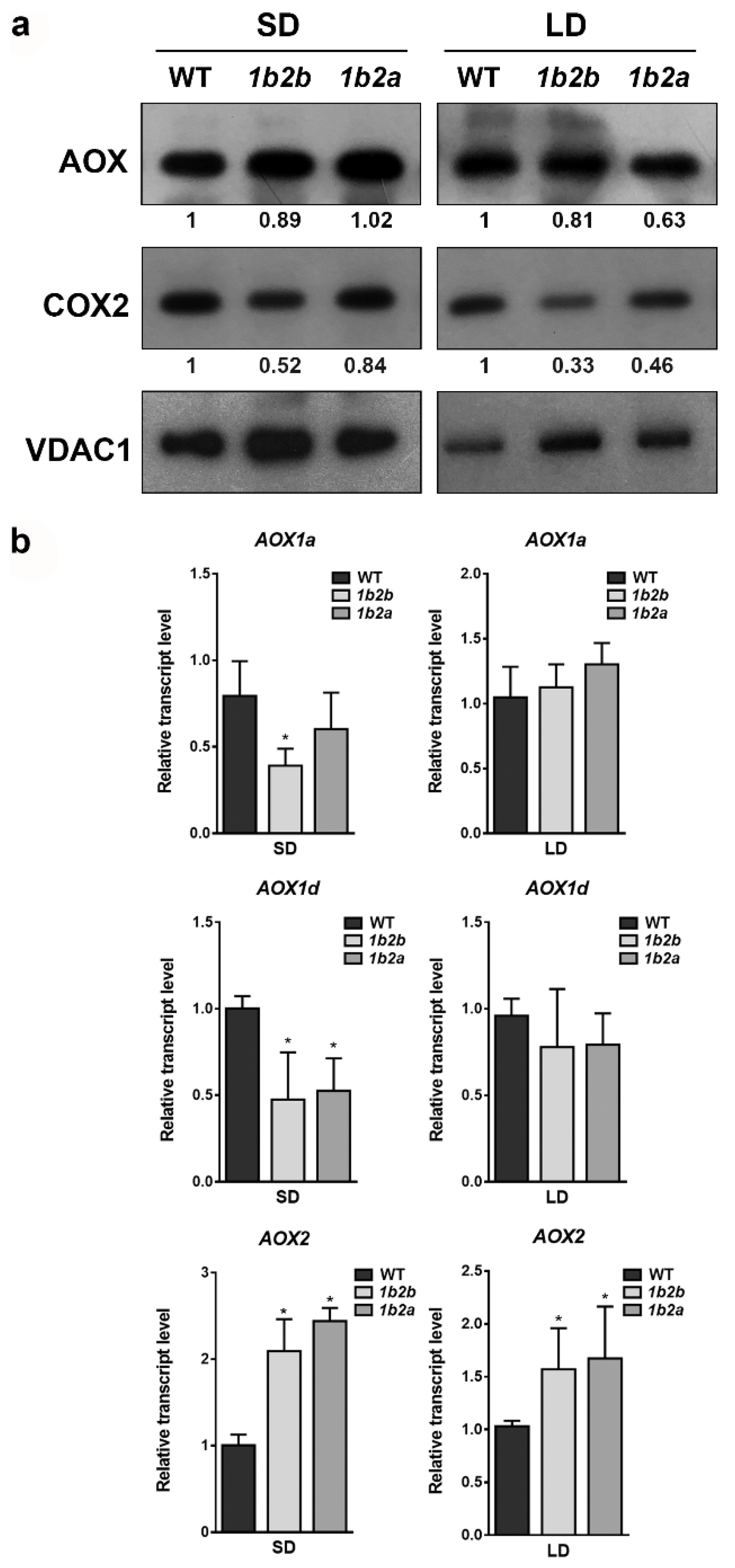 Plants 10 00444 g001 Plants 10 00444 g001